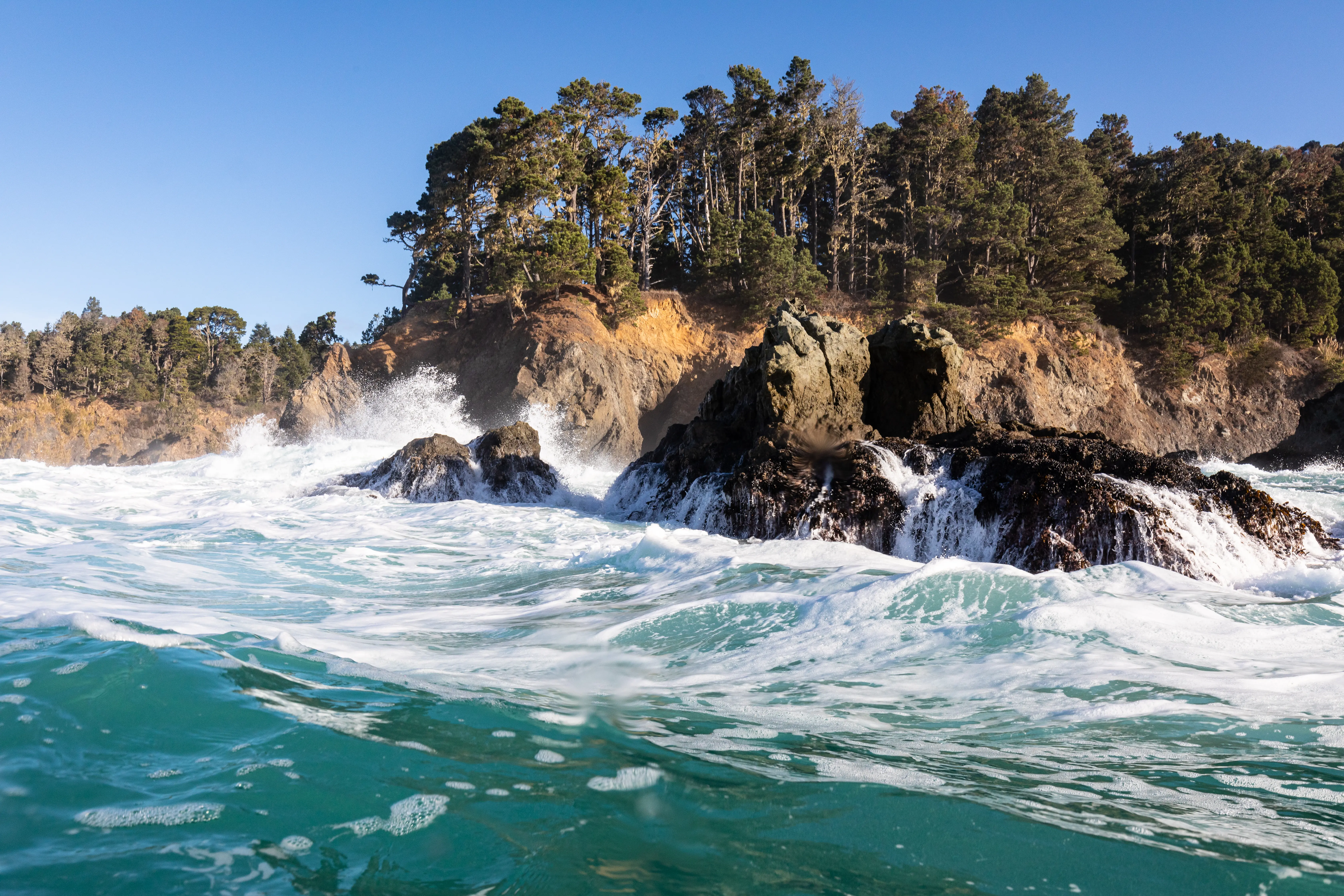 Image of rugged coastline at Russian Gulchtate Park in Mendocino County, California.