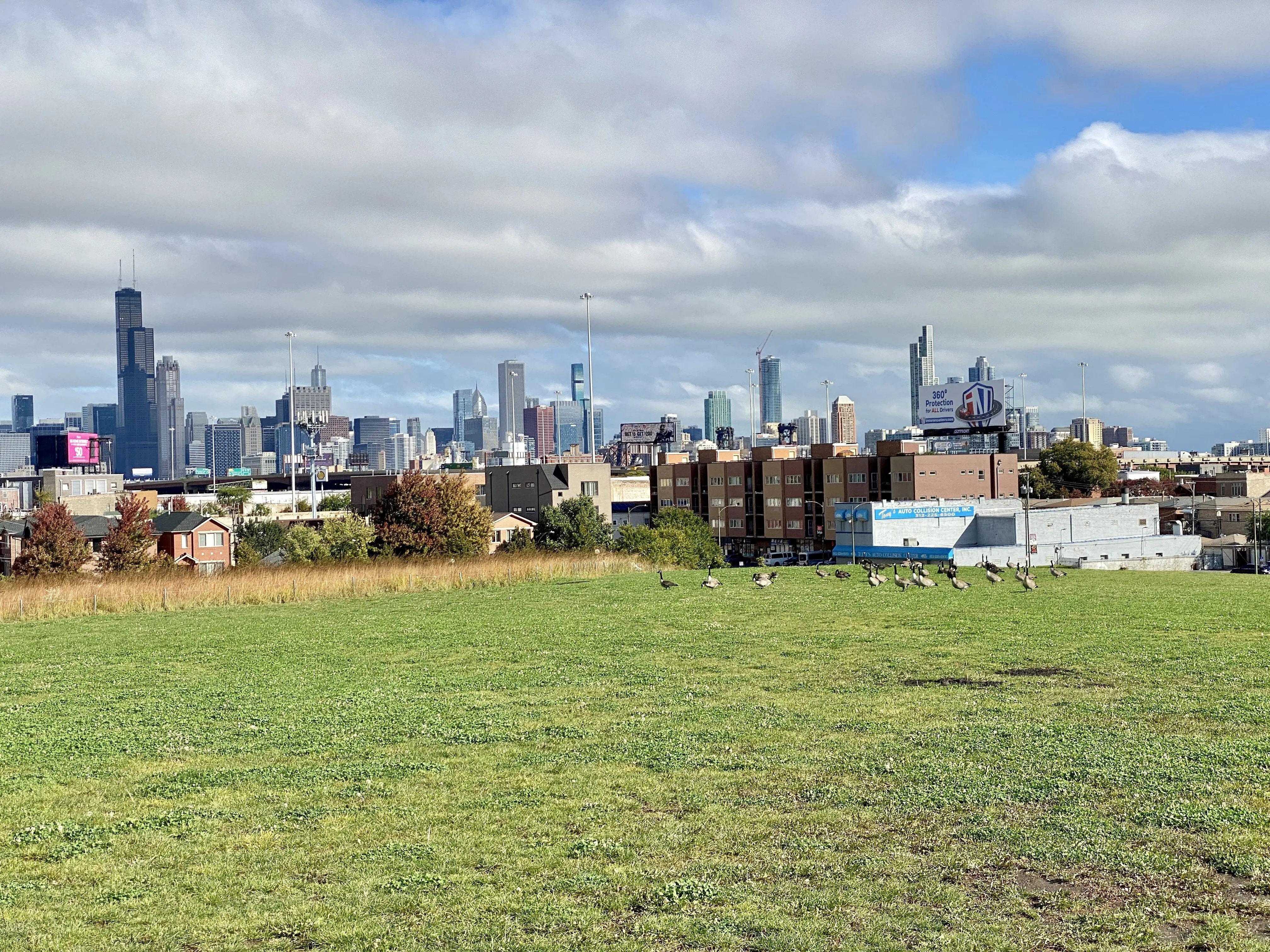 Image of the Chicago skyline as seen from Palmisano Park.