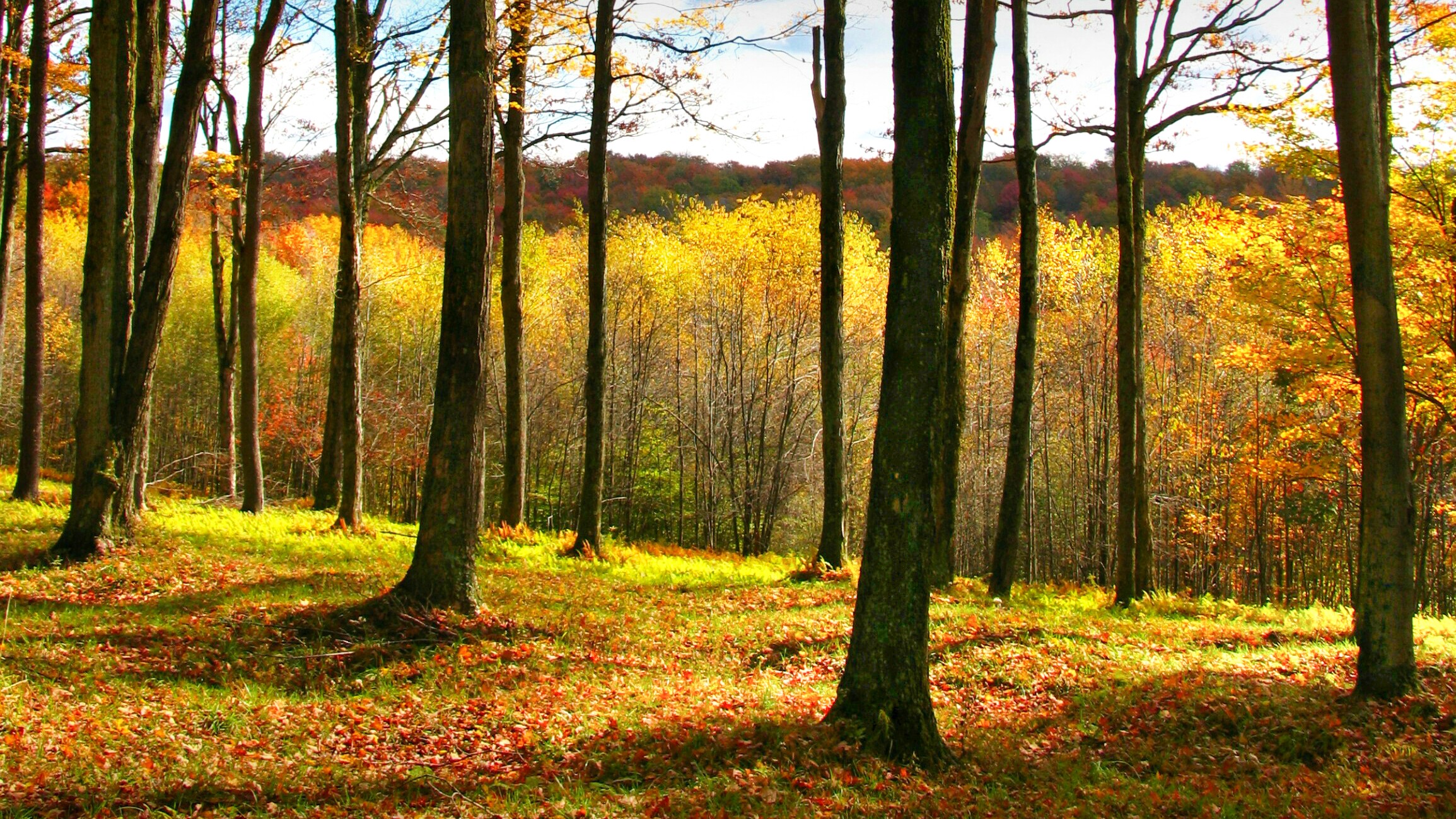 Catskills Foothills Scenic Highway Road Trip