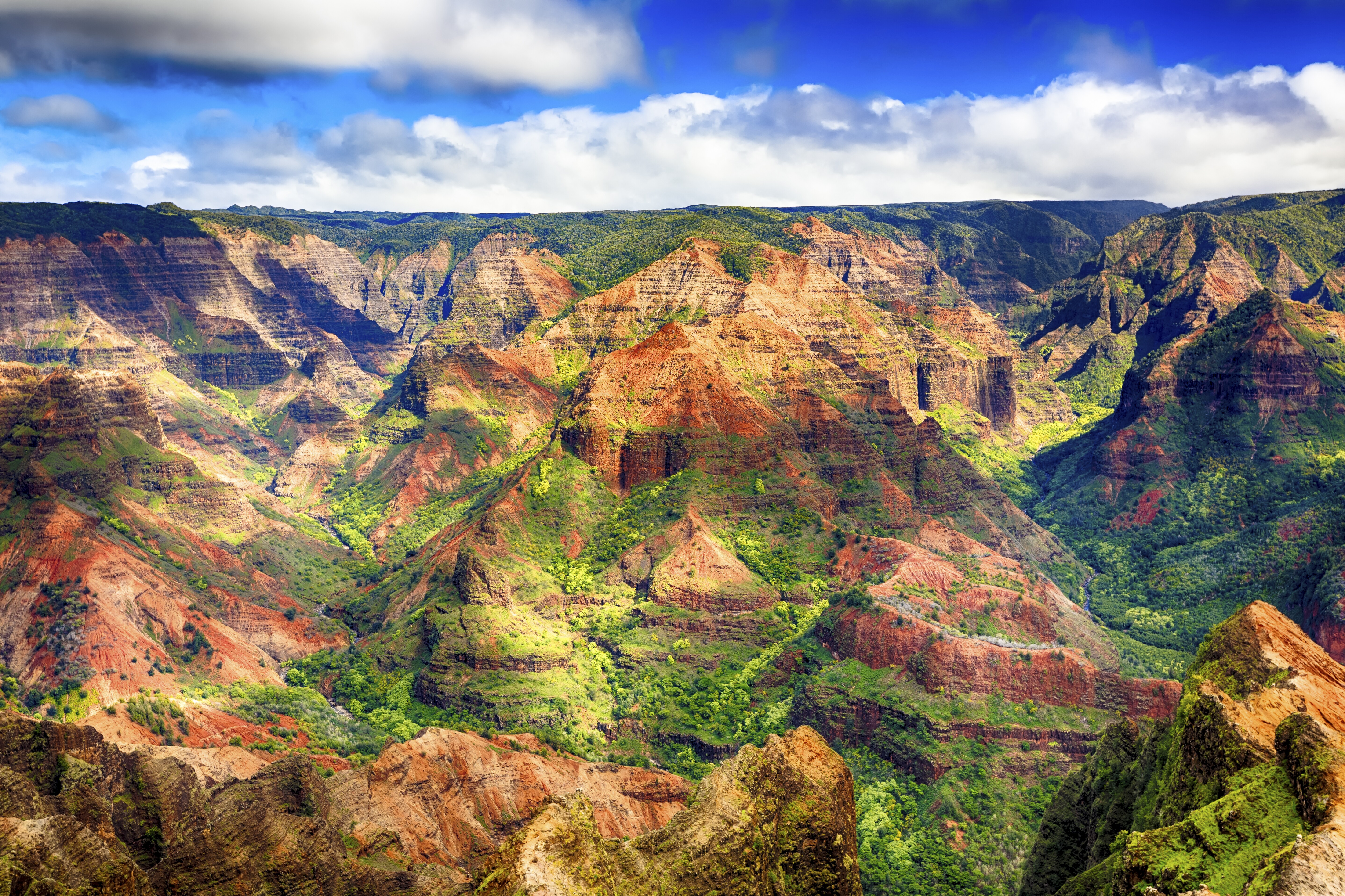 Waimea Canyon Scenic Drive Road Trip