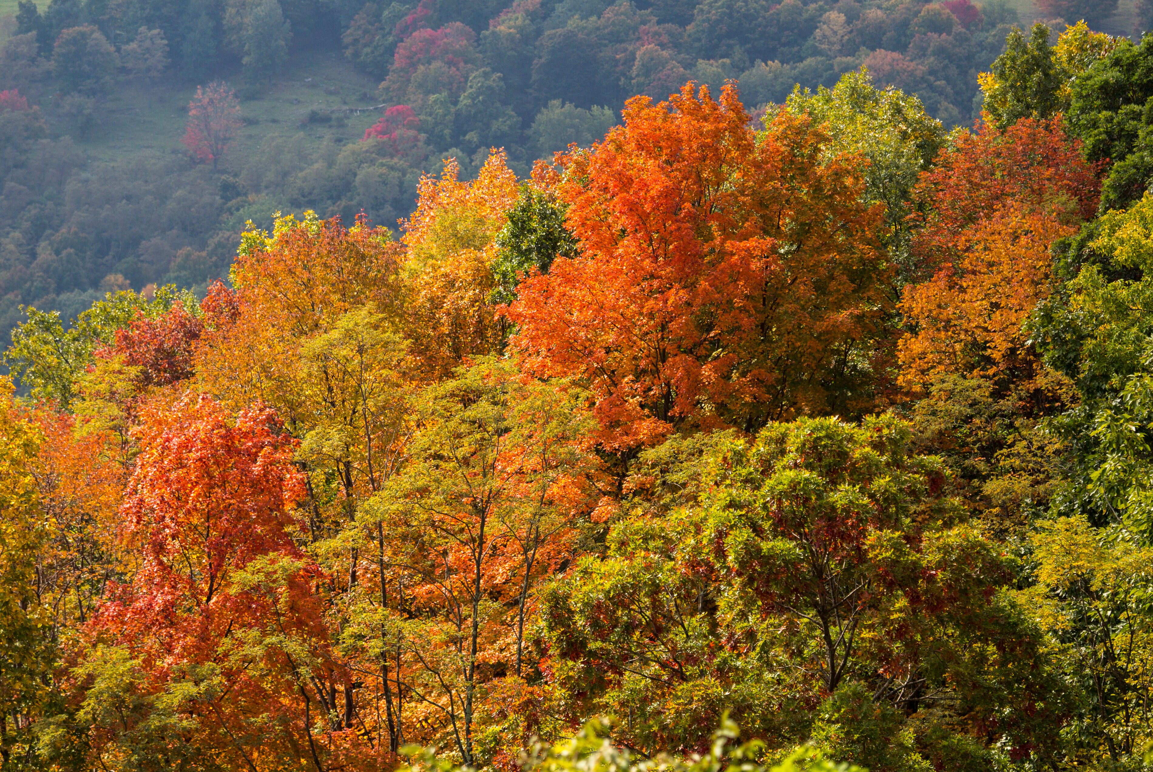 West Virginia Scenic Turnpike Road Trip