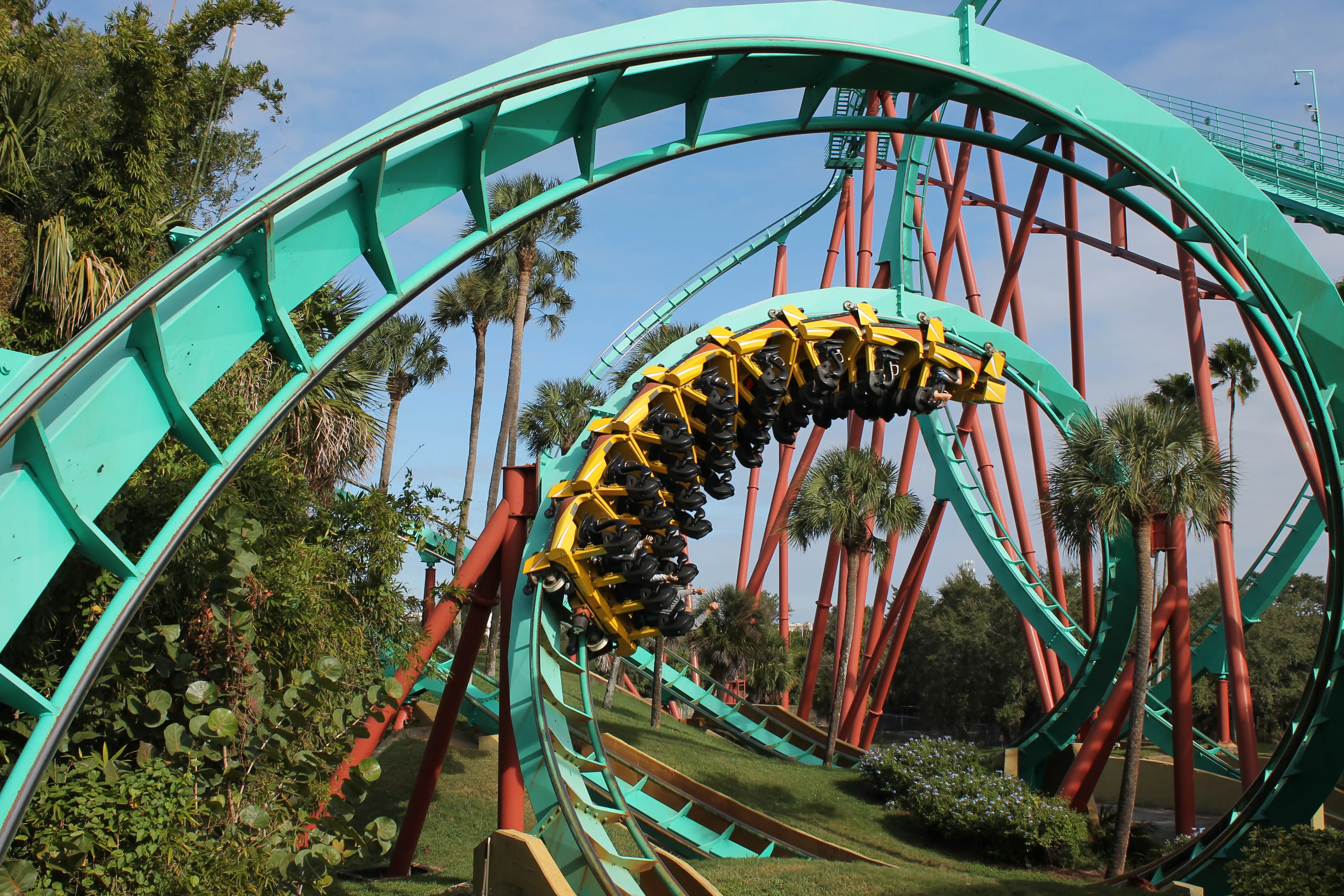 Image of the Kumba roller coaster at Busch Gardens, Tampa Bay.