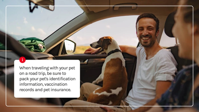 A man and his dog enjoying the ride during a road trip. 