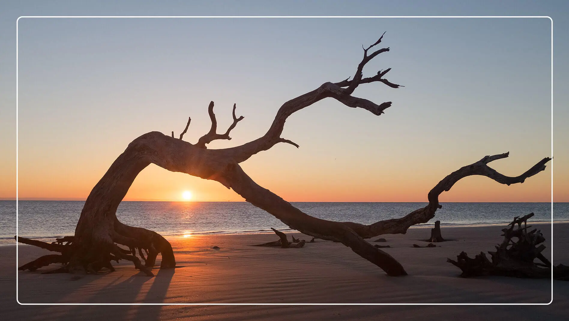 One of the many driftwood formations found on Driftwood Beach.
