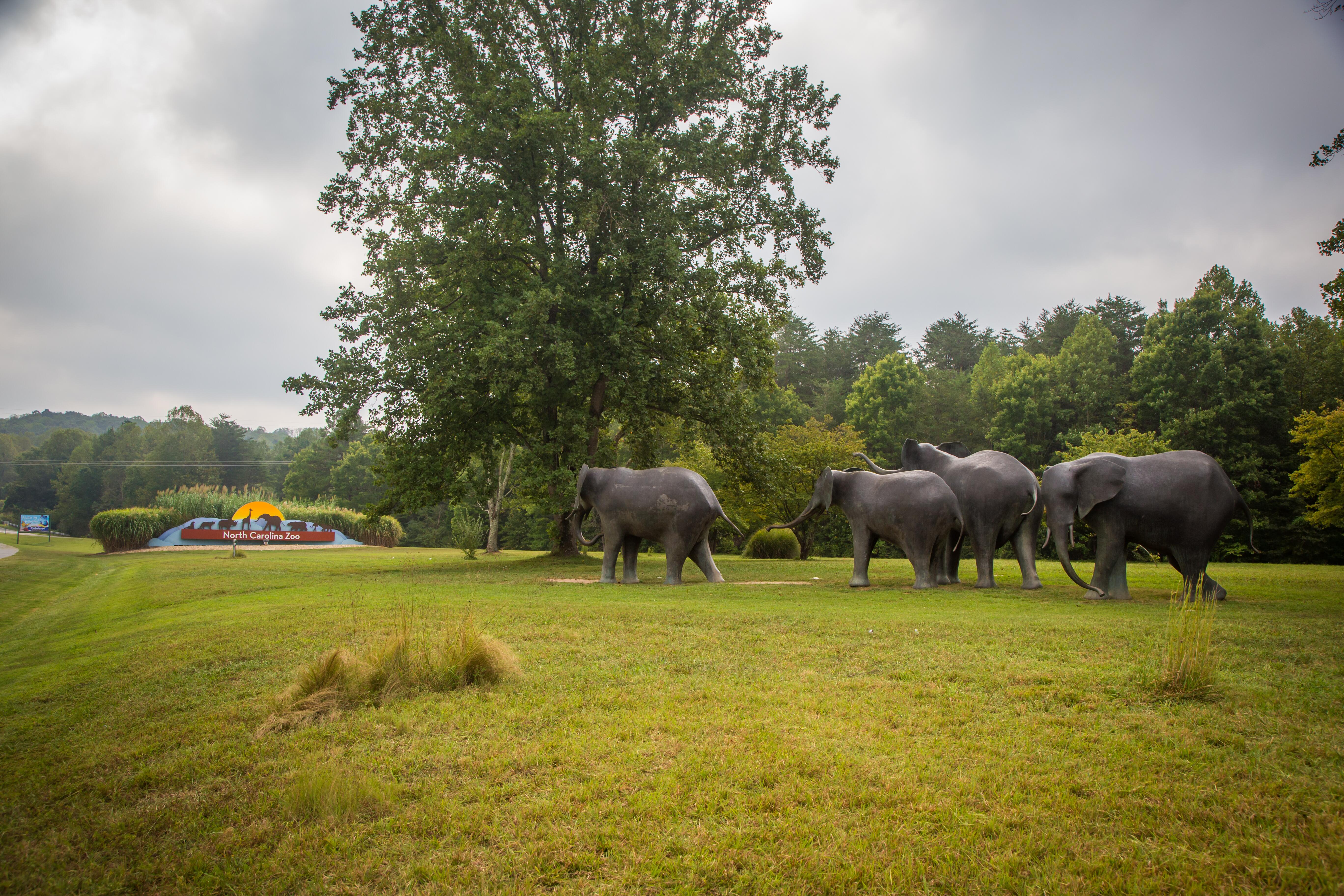 charlotte, North Carolina