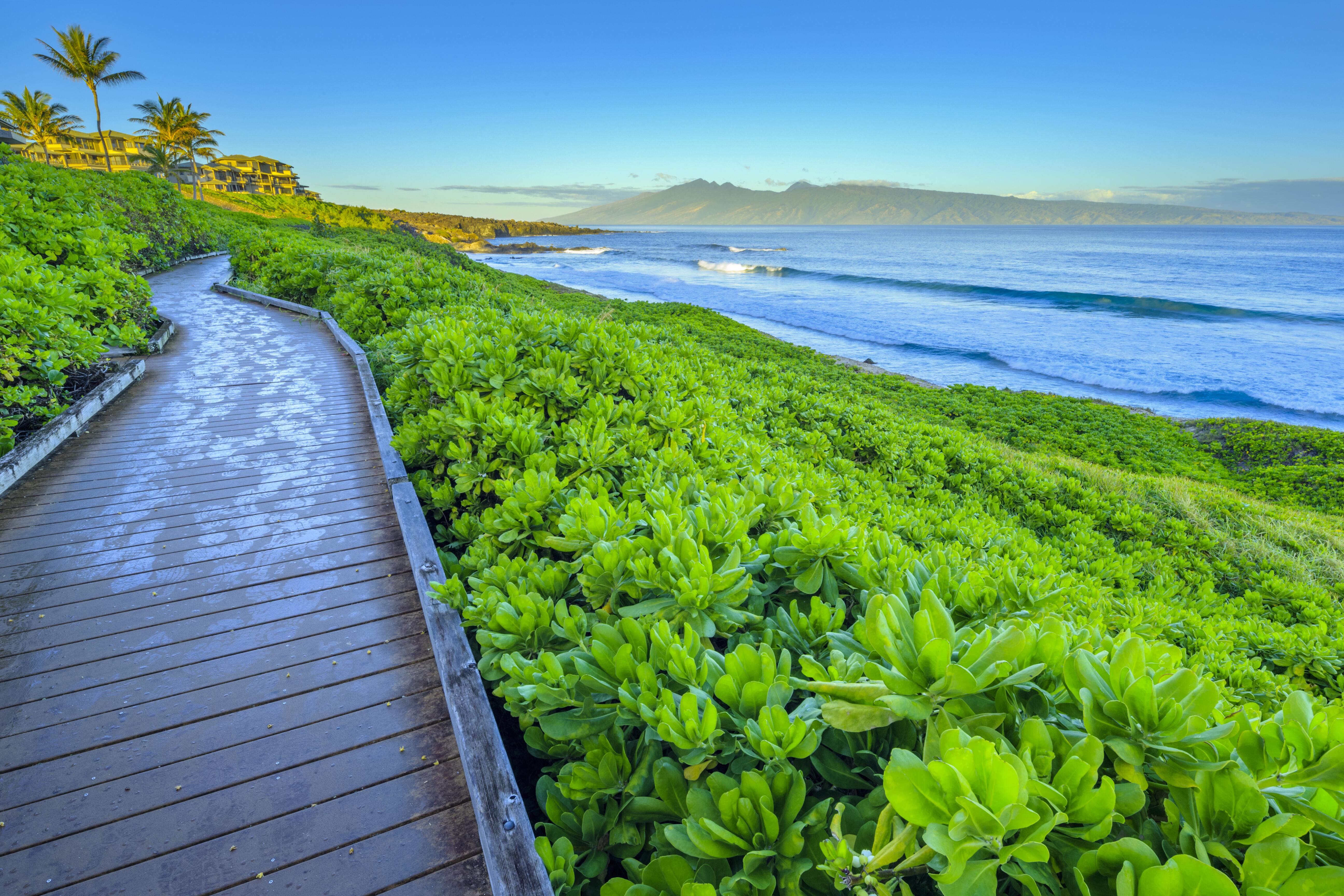 Kapalua Beach coastal path with greenery along the waterside on Island of Maui, Hawaii