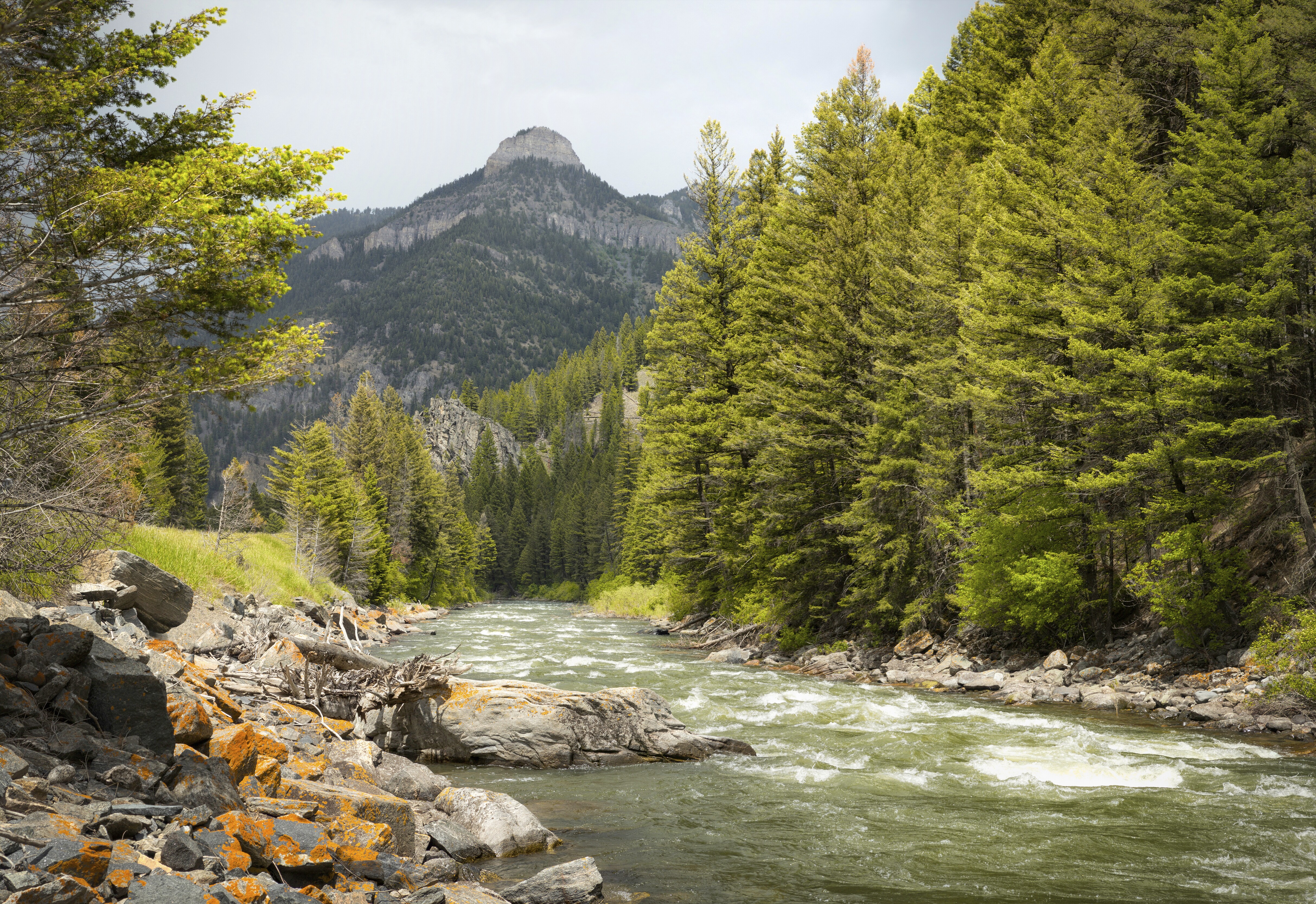 Gallatin Valley Scenic Highway Road Trip