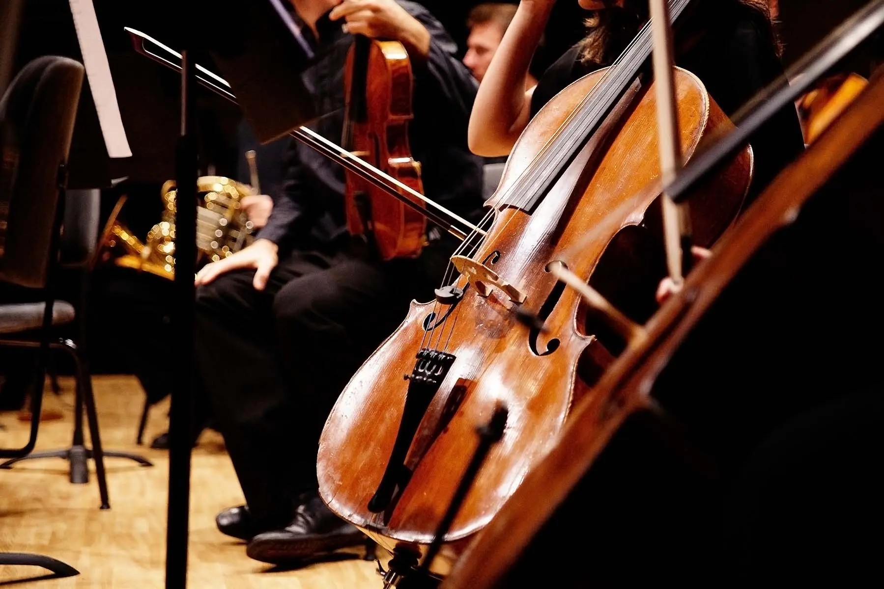 An orchestra playing violones during a concert