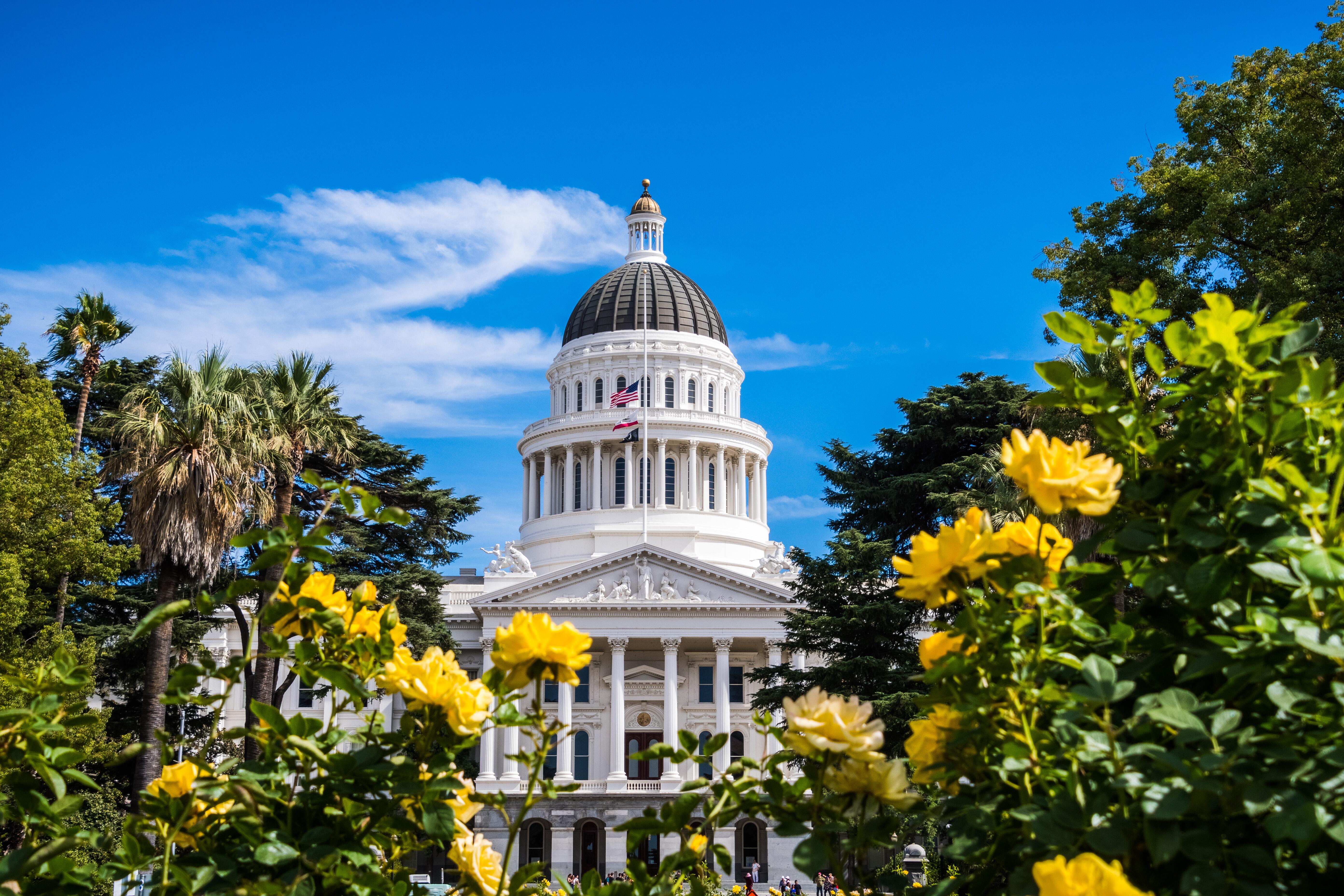 California State Capitol building, on a sunny day with beautiful yellow roses in the foreground