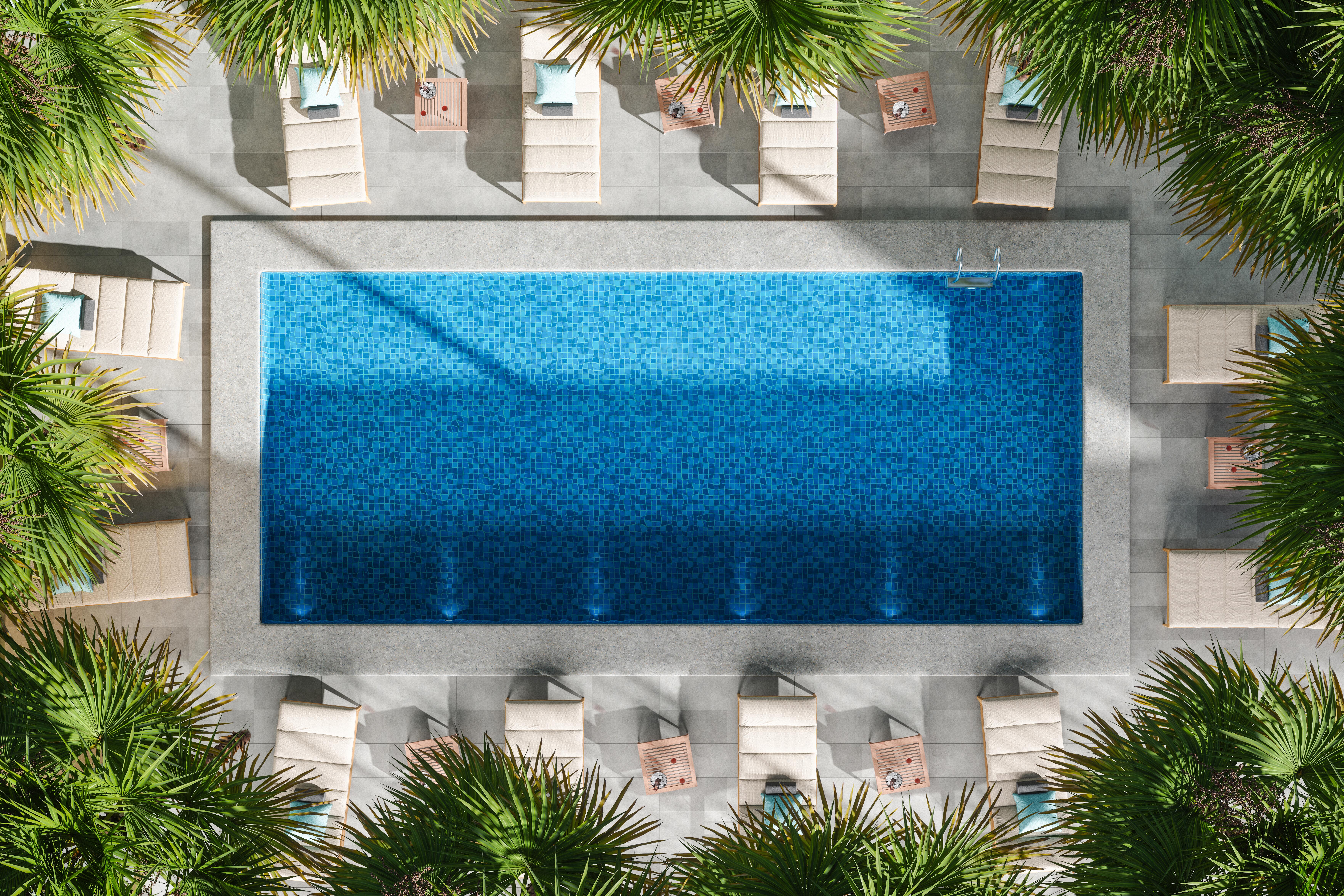 Swimming pool with lounge chairs and palm trees