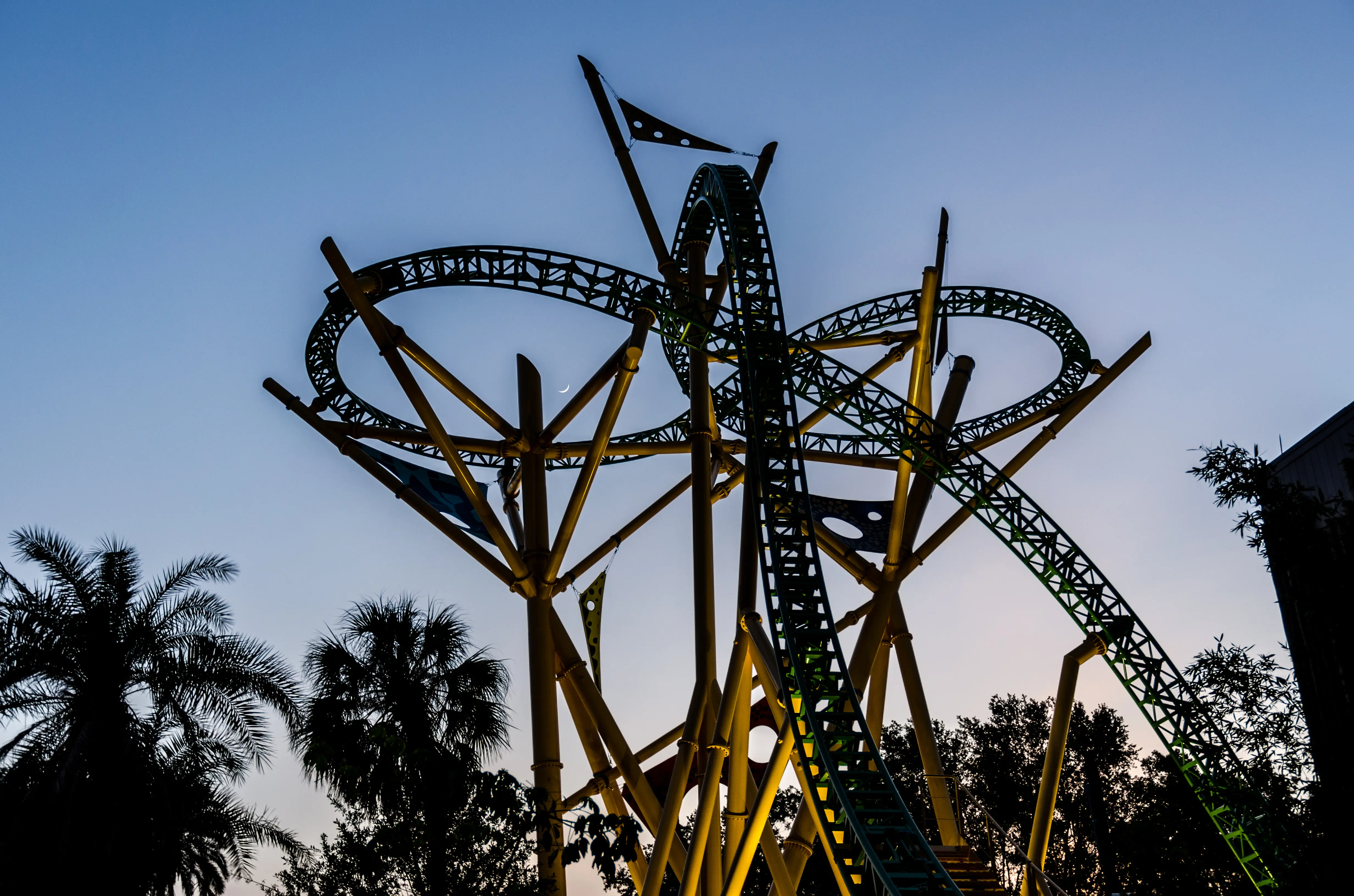 Image of the Cheetah Hunt roller coaster at Busch Gardens Tampa Bay, at night.