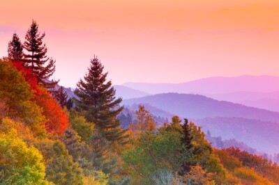 SoutheastAppalachian