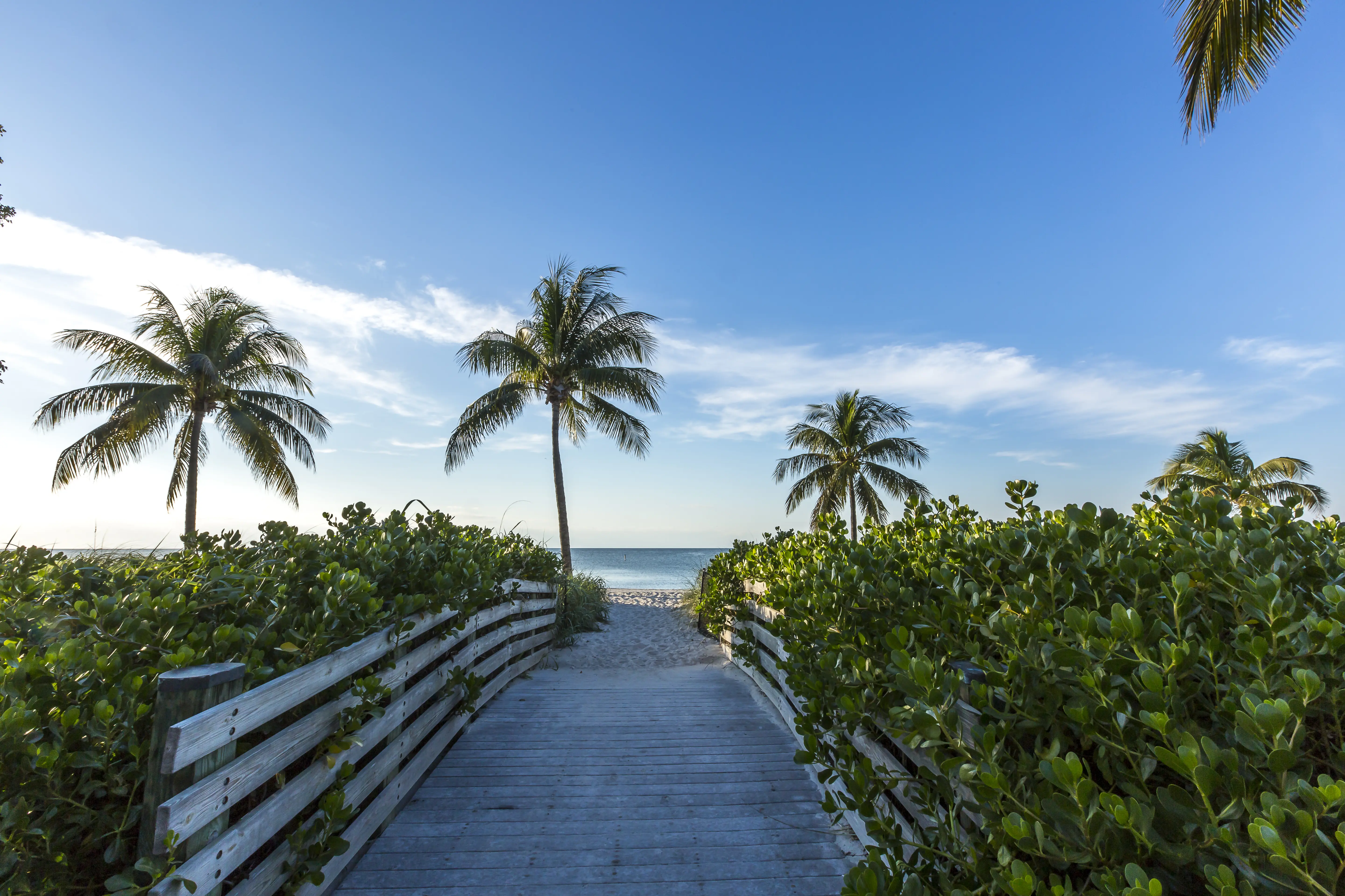 Image of a beach in Florida.