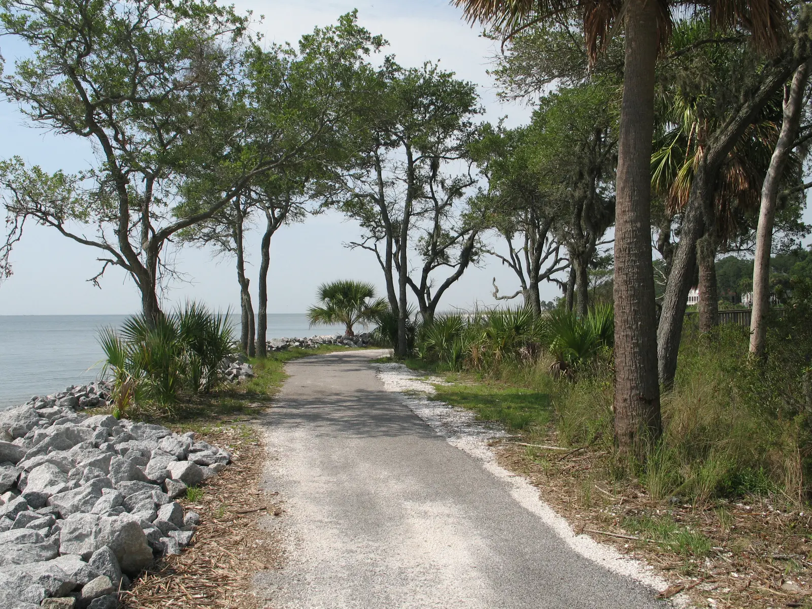 Outdoor image of the wilderness scenery at Daufuskie Island.