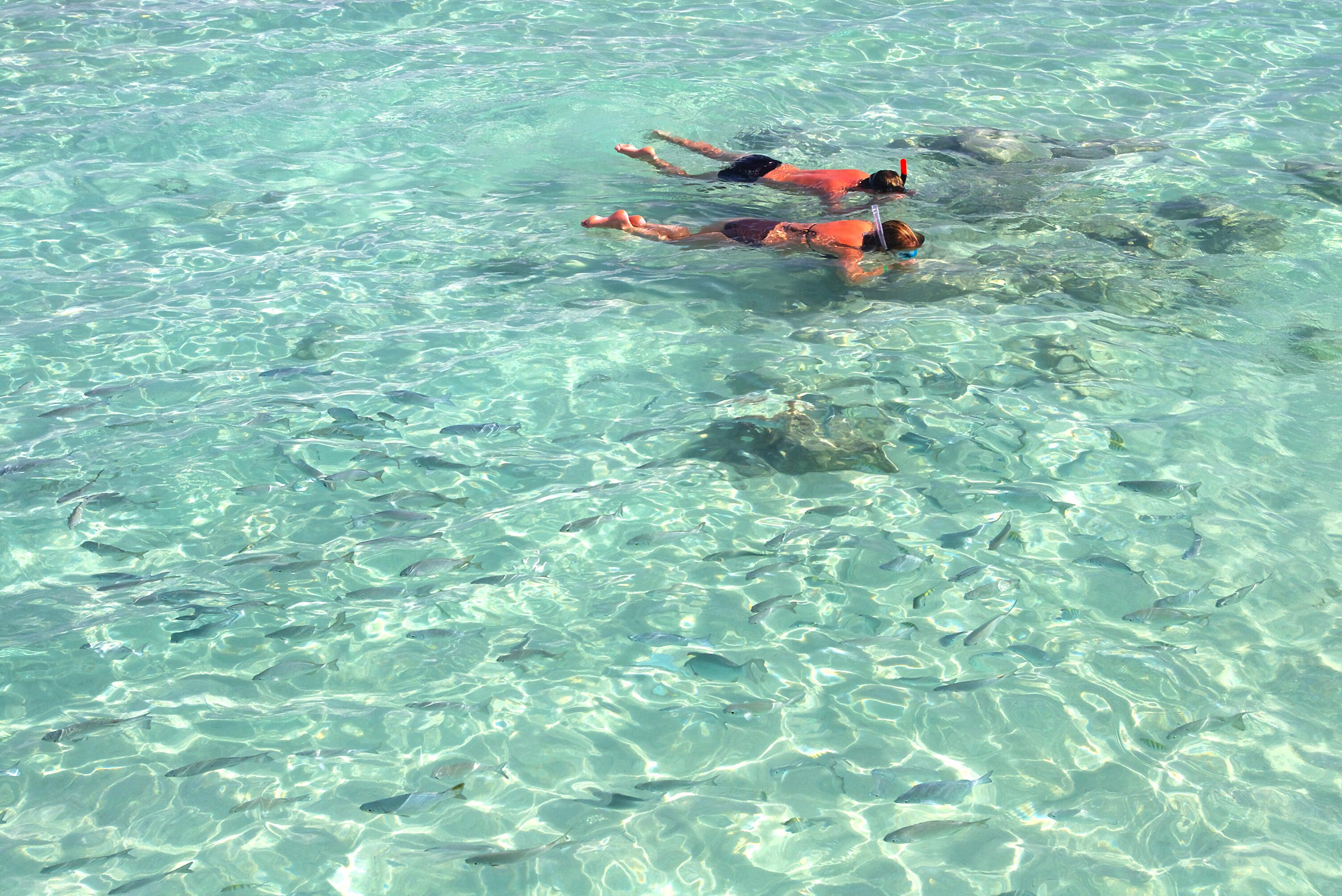 A young couple watching fish as they snorkel along the edge of a Caribbean reef off the coast of the Mayan Riviera