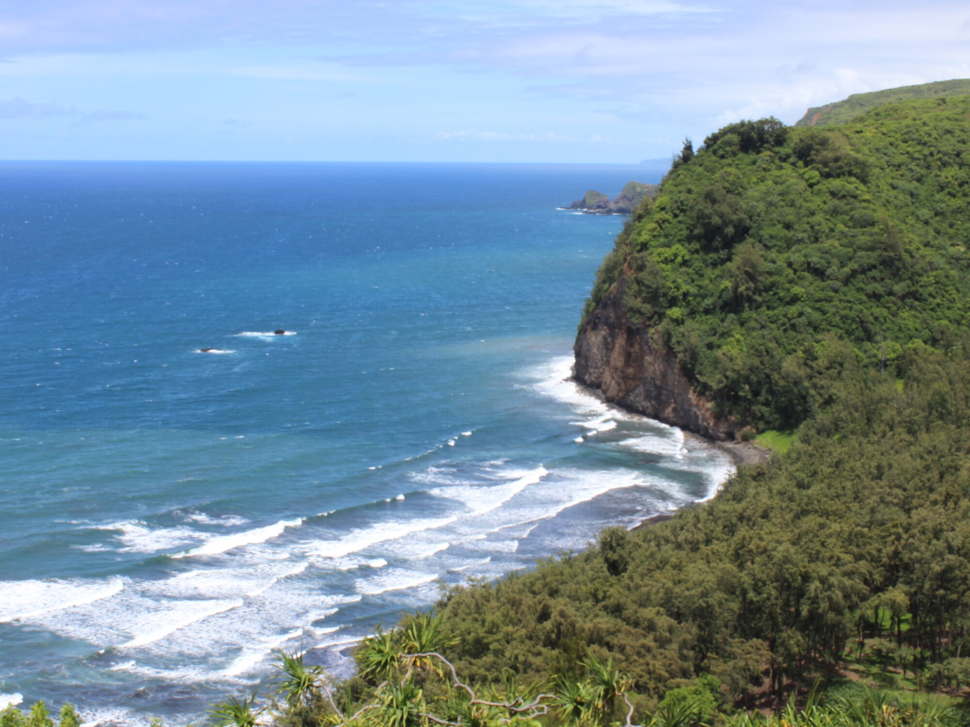 Kohala Mountain Scenic Road Road Trip