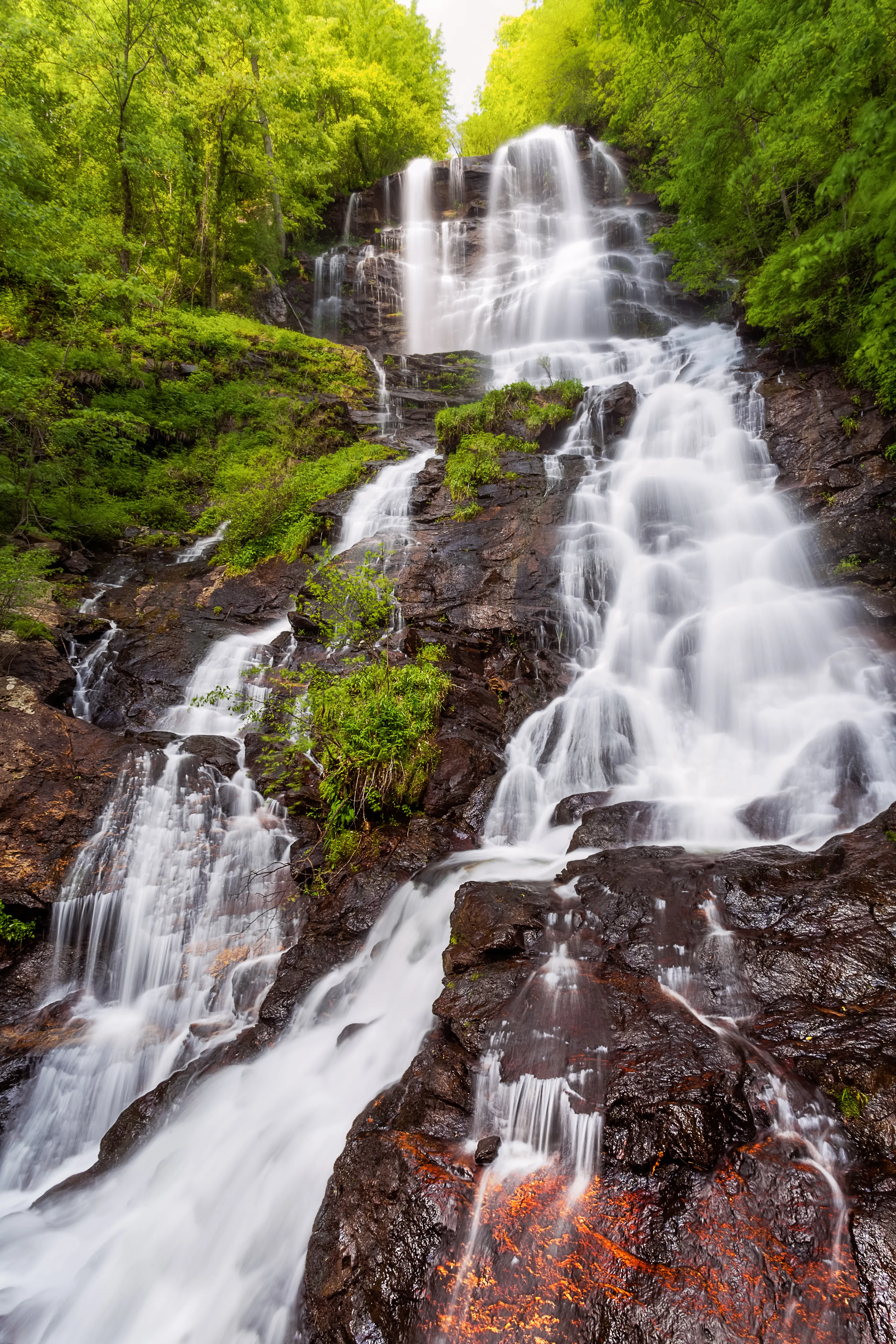 Outdoor image of Amicalola Falls