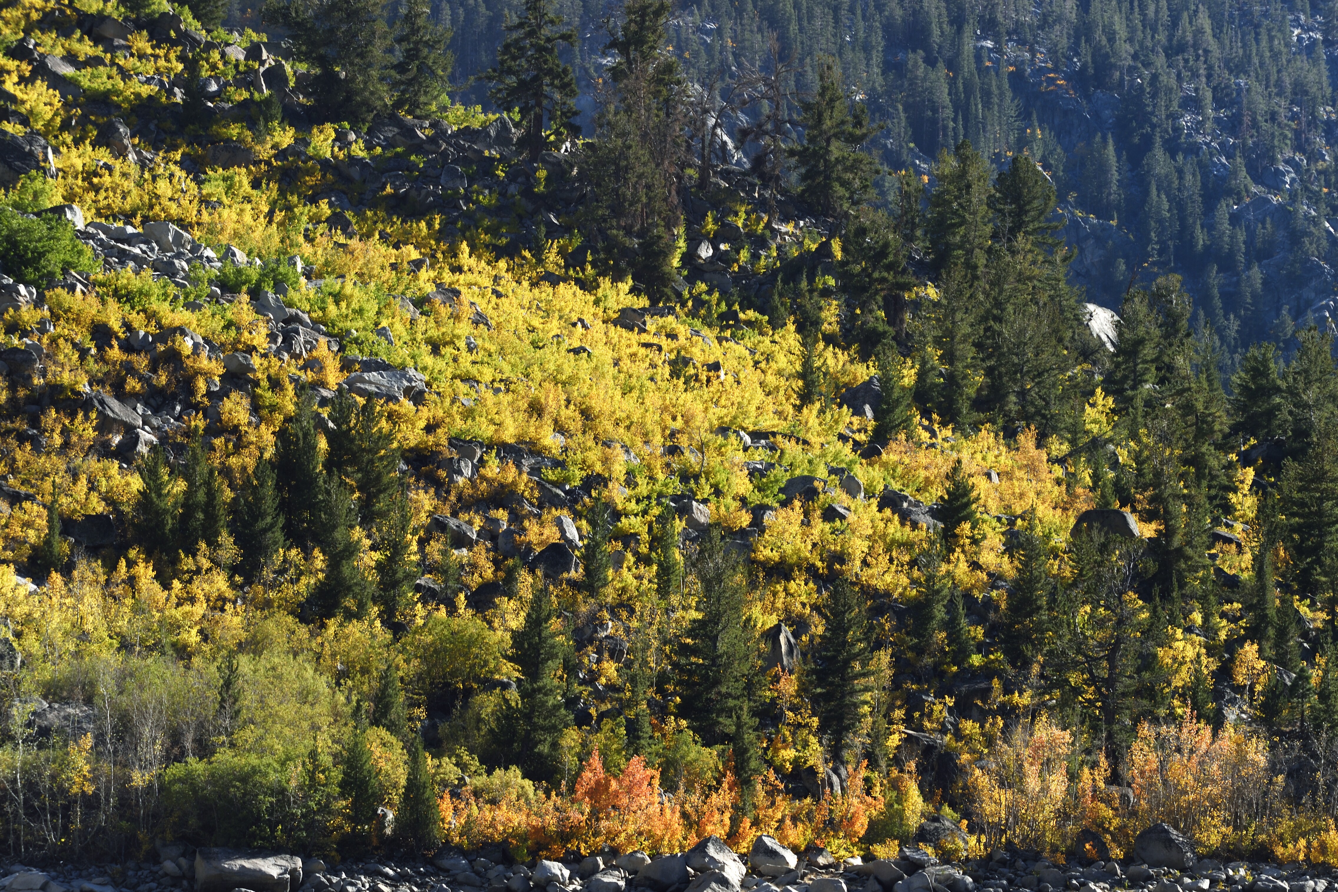 Lake Sabrina Scenic Road Road Trip