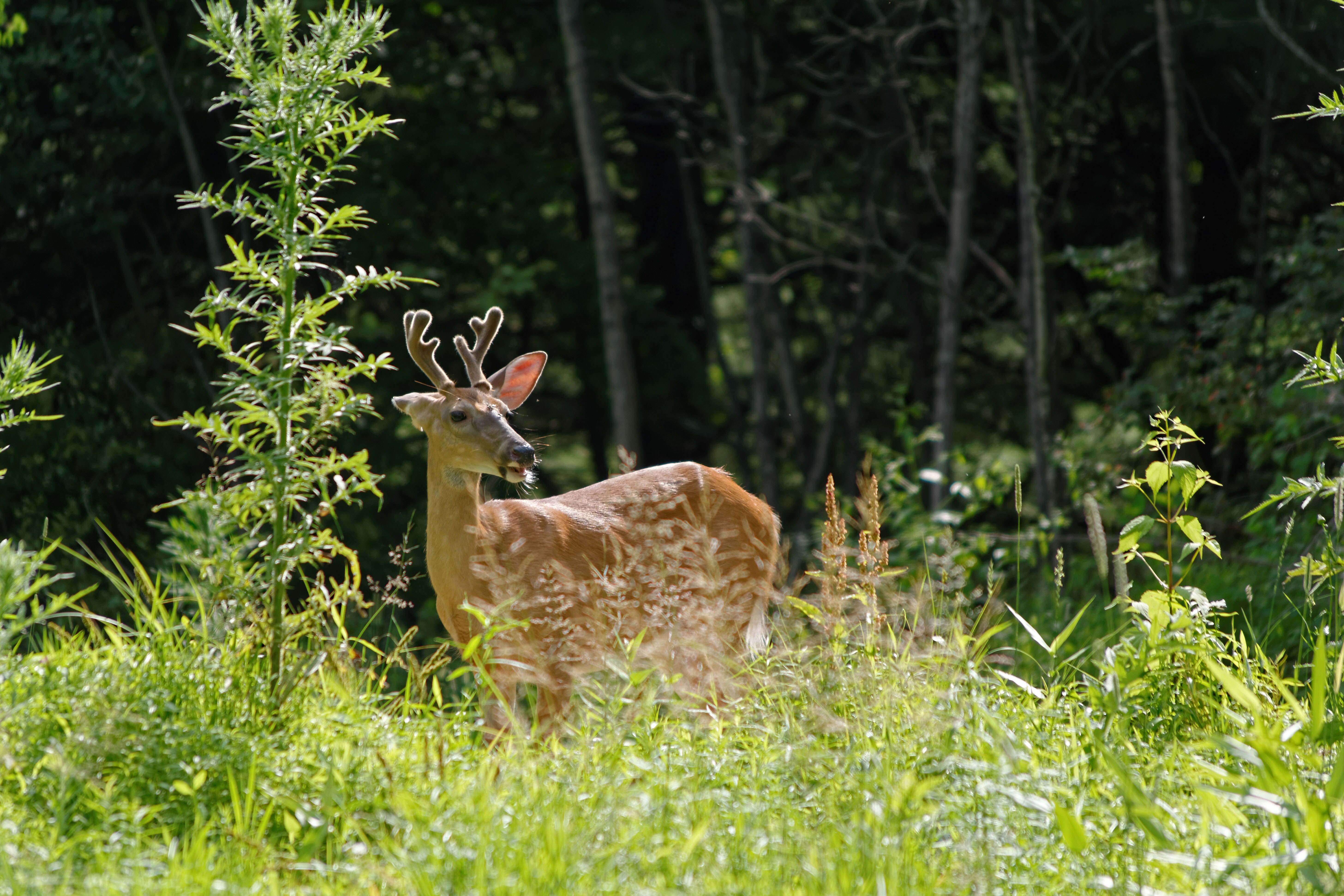 Northcentral Pennsylvania's Scenic Route 6 Road Trip