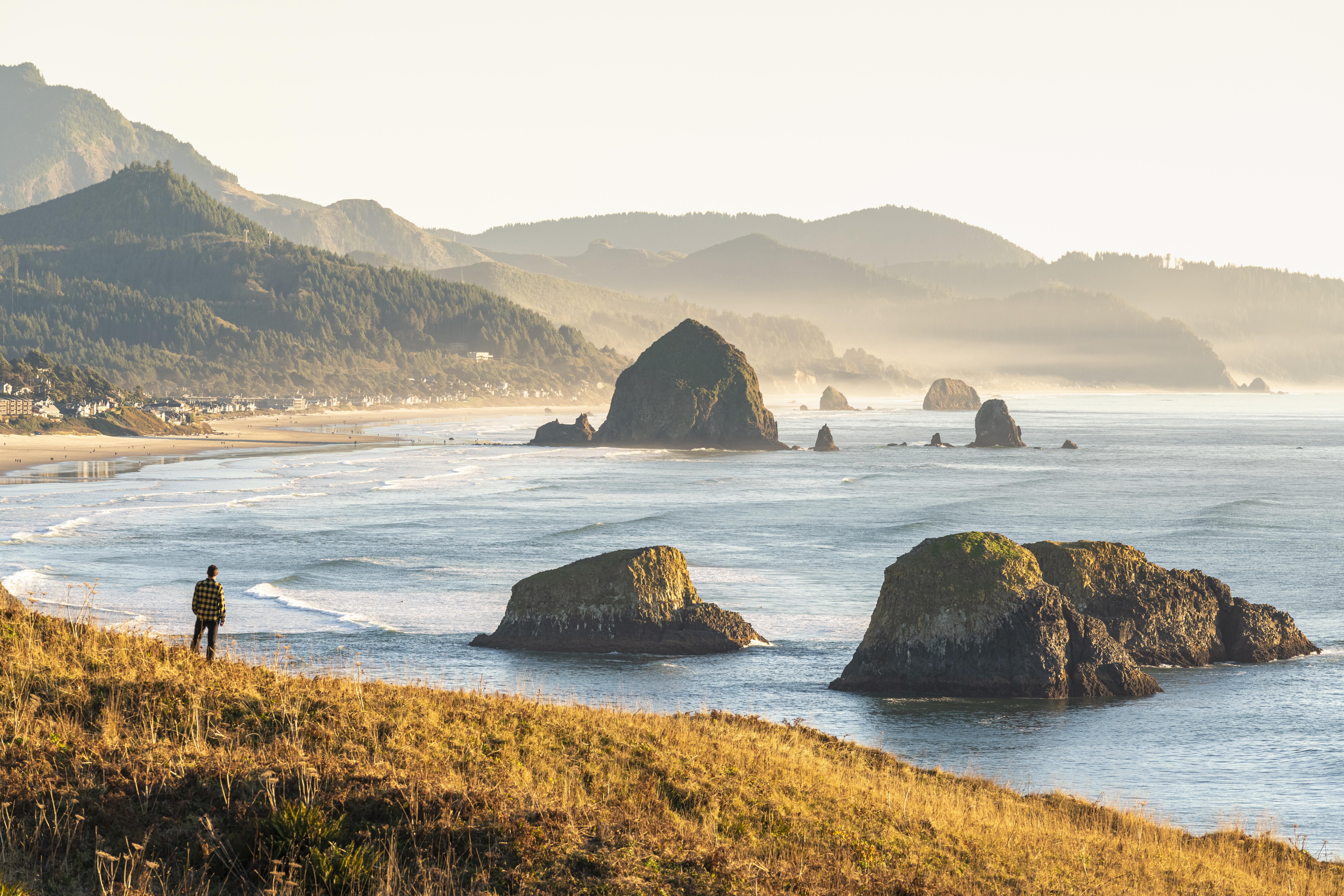High-angle image of a man looking at Cannon Beach and Haystack Rock from Ecola State Park, Cannon Beach, Clatsop county, Oregon, USA.