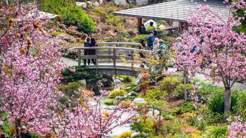 Japanese Friendship Garden in San Diego