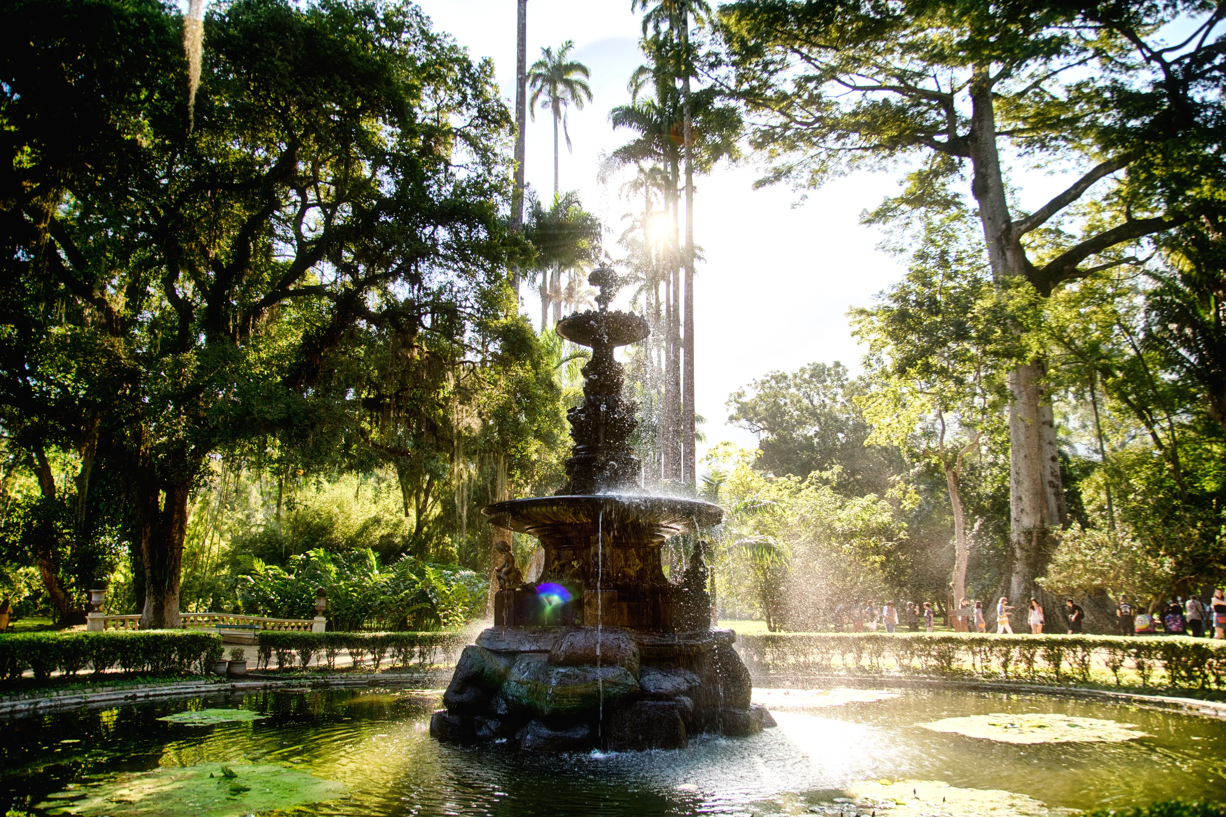 Photo of the Rio de Janeiro Botanical Garden, Brazil