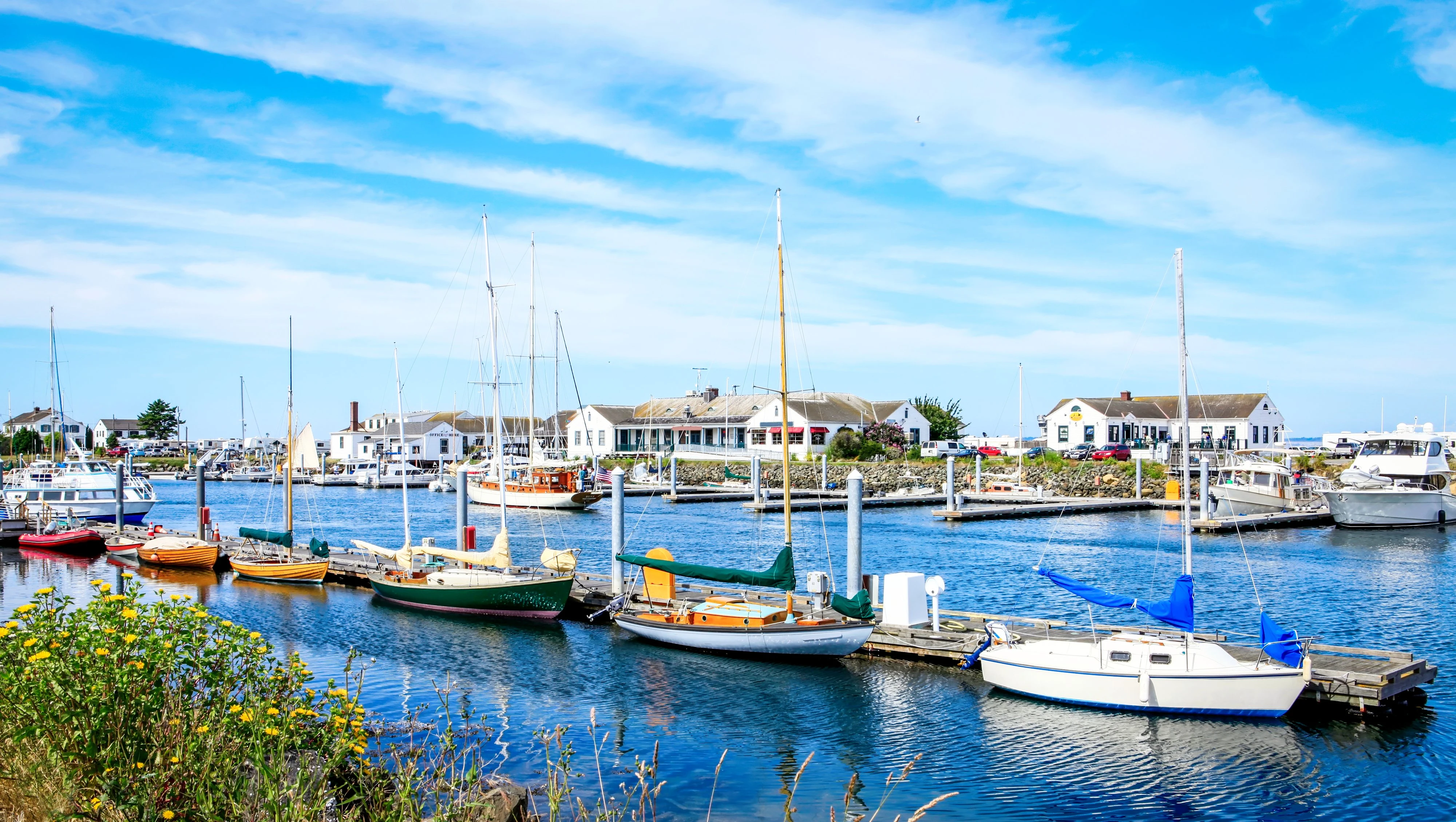 Olympic Peninsula Road Trip