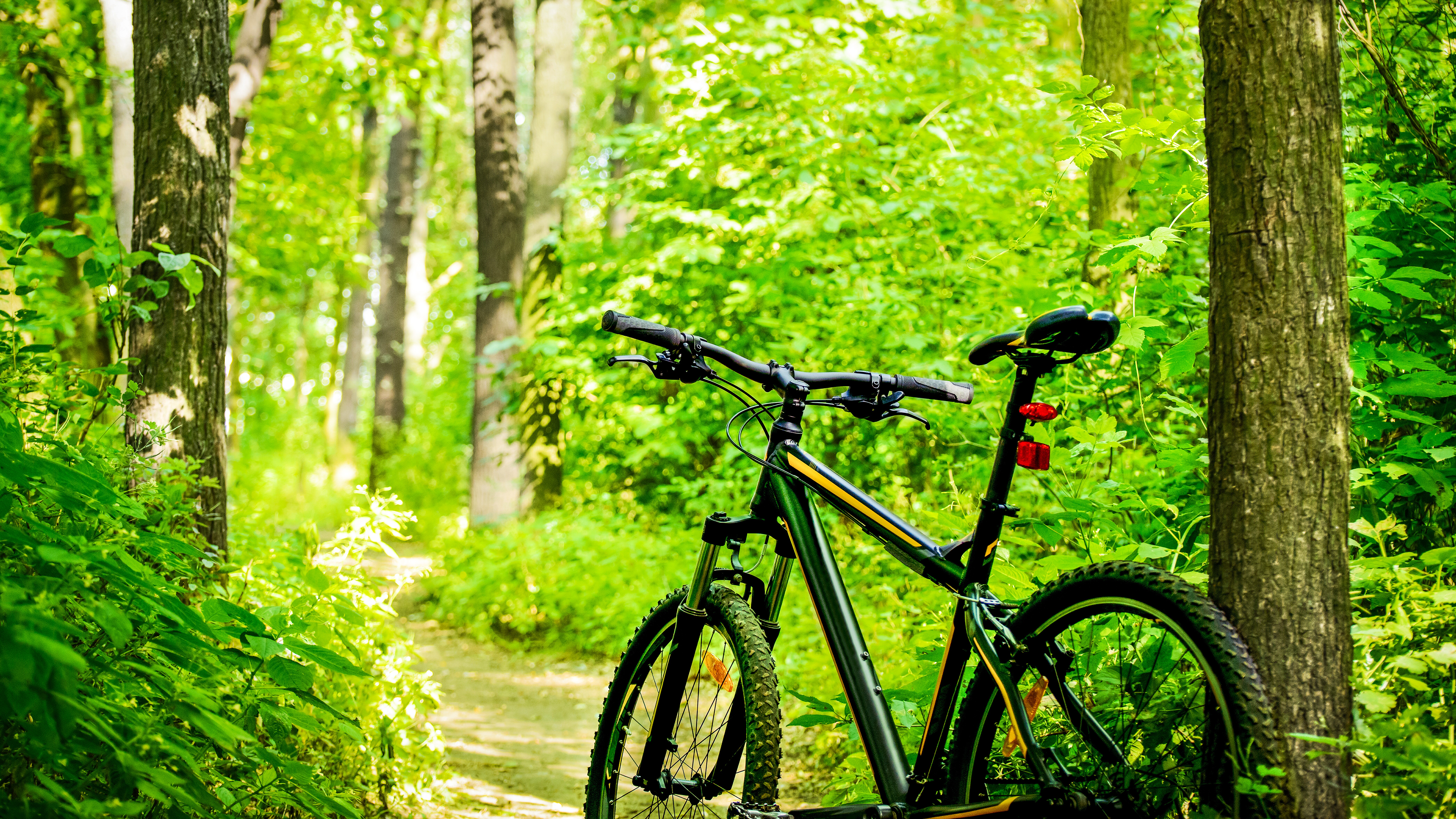 Longleaf Trail Scenic Byway Road Trip