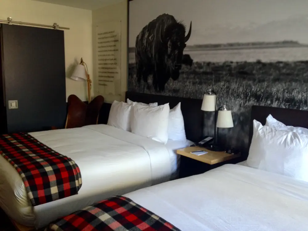 Bison photo, bed scarf, pillows, lamps, closet
