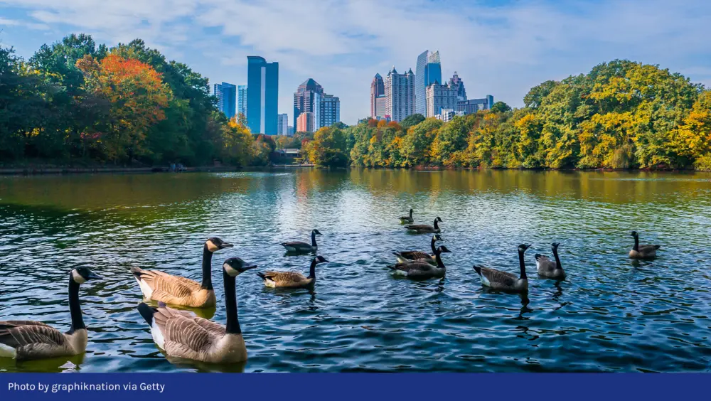 View of Atlanta skyline from Piedmont Park