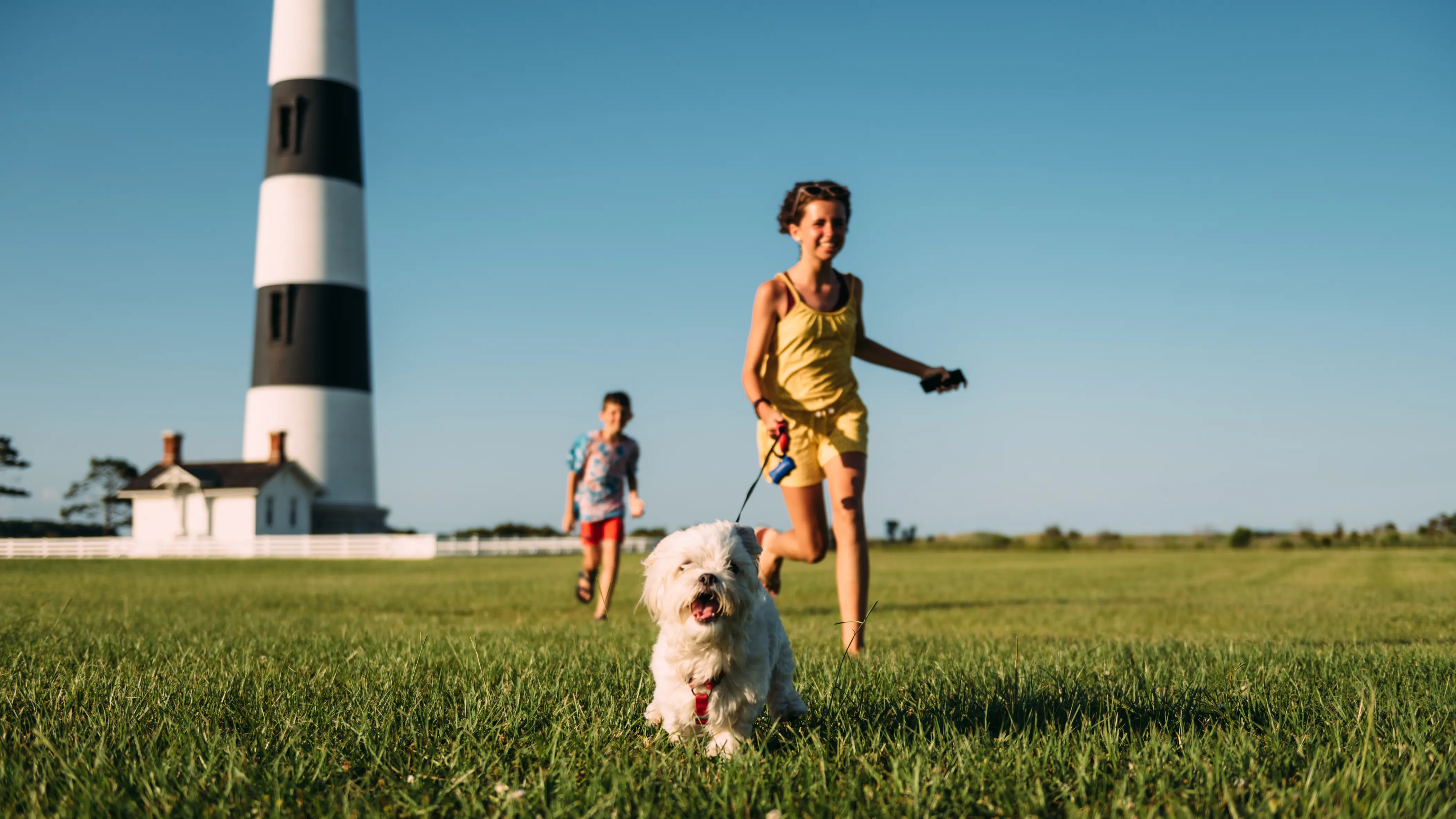 Dog at Outer Banks, North Carolina