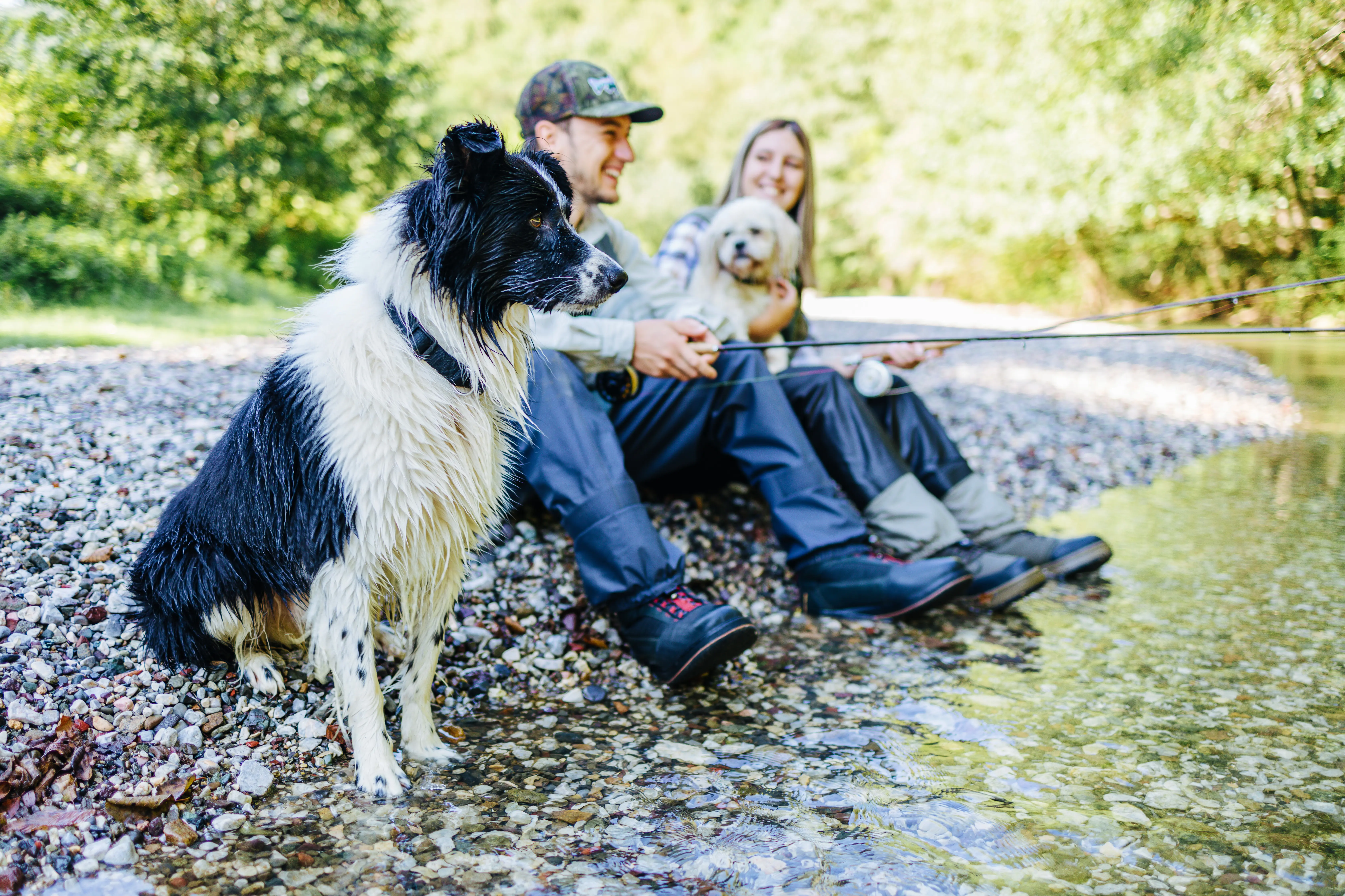 Young adult couple fishing together on fast mountain river with their 2 dogs