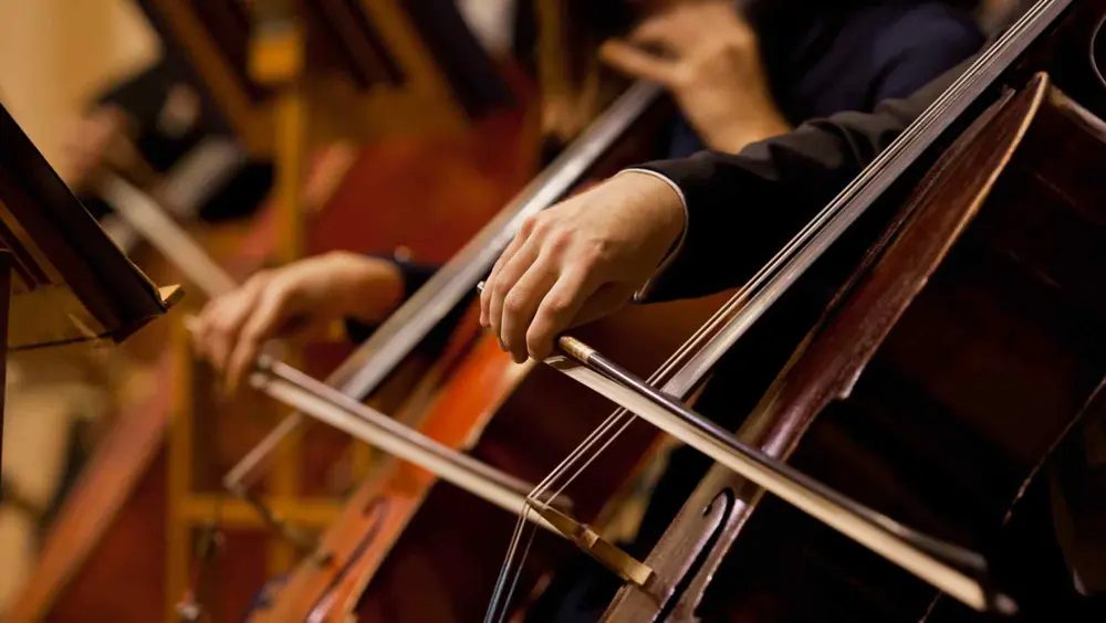 Musicians playing cellos at Boston Symphony Hall.