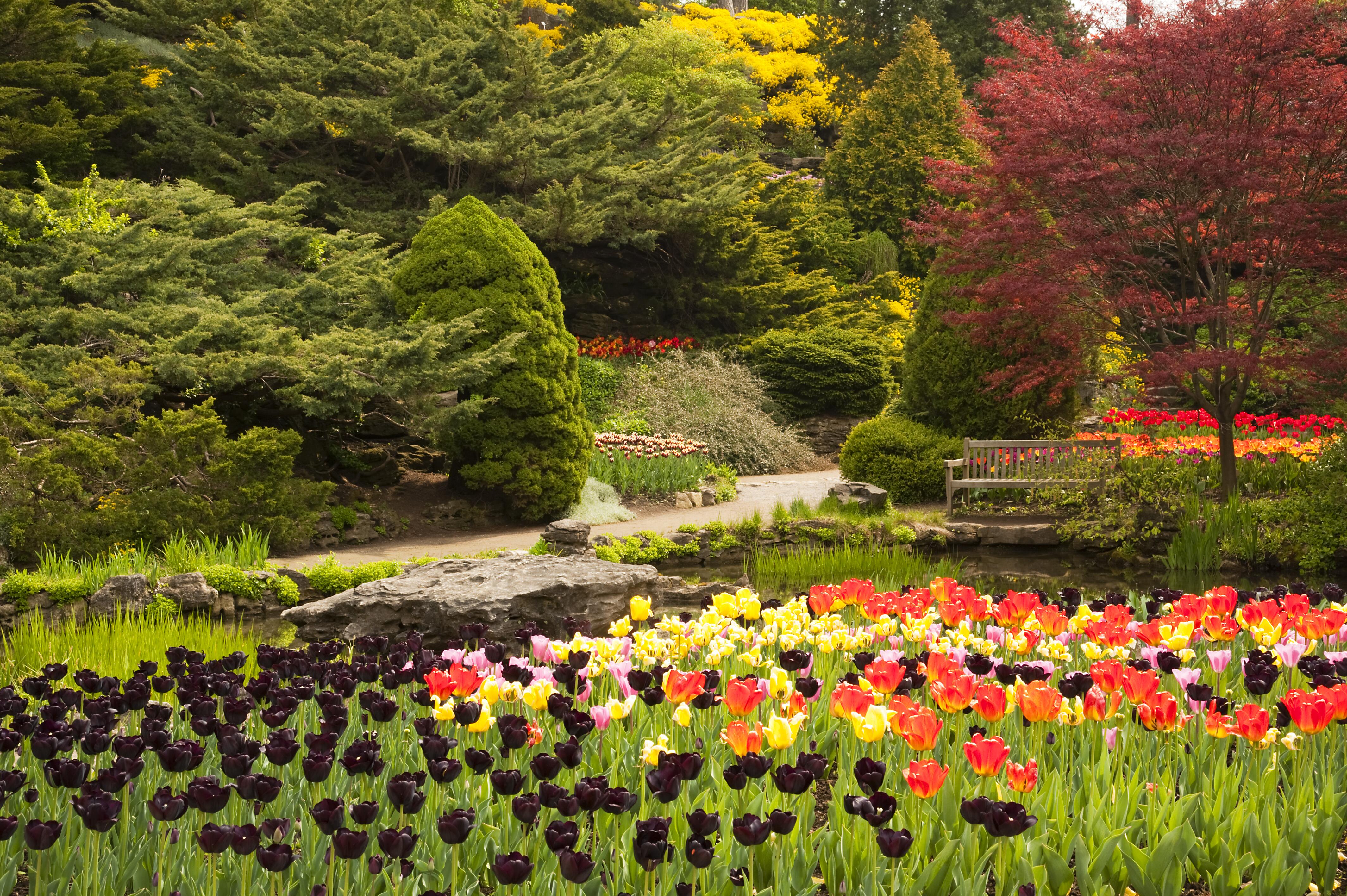 "A bench in the rock gardens during the tulips festival surrounded by colour in the spring at the Royal Botanical Gardens in Burlington, Ontario".
