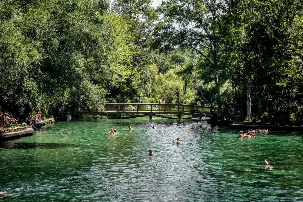 Natural spring swimming hole in Wekiwa Springs State Park, Florida.