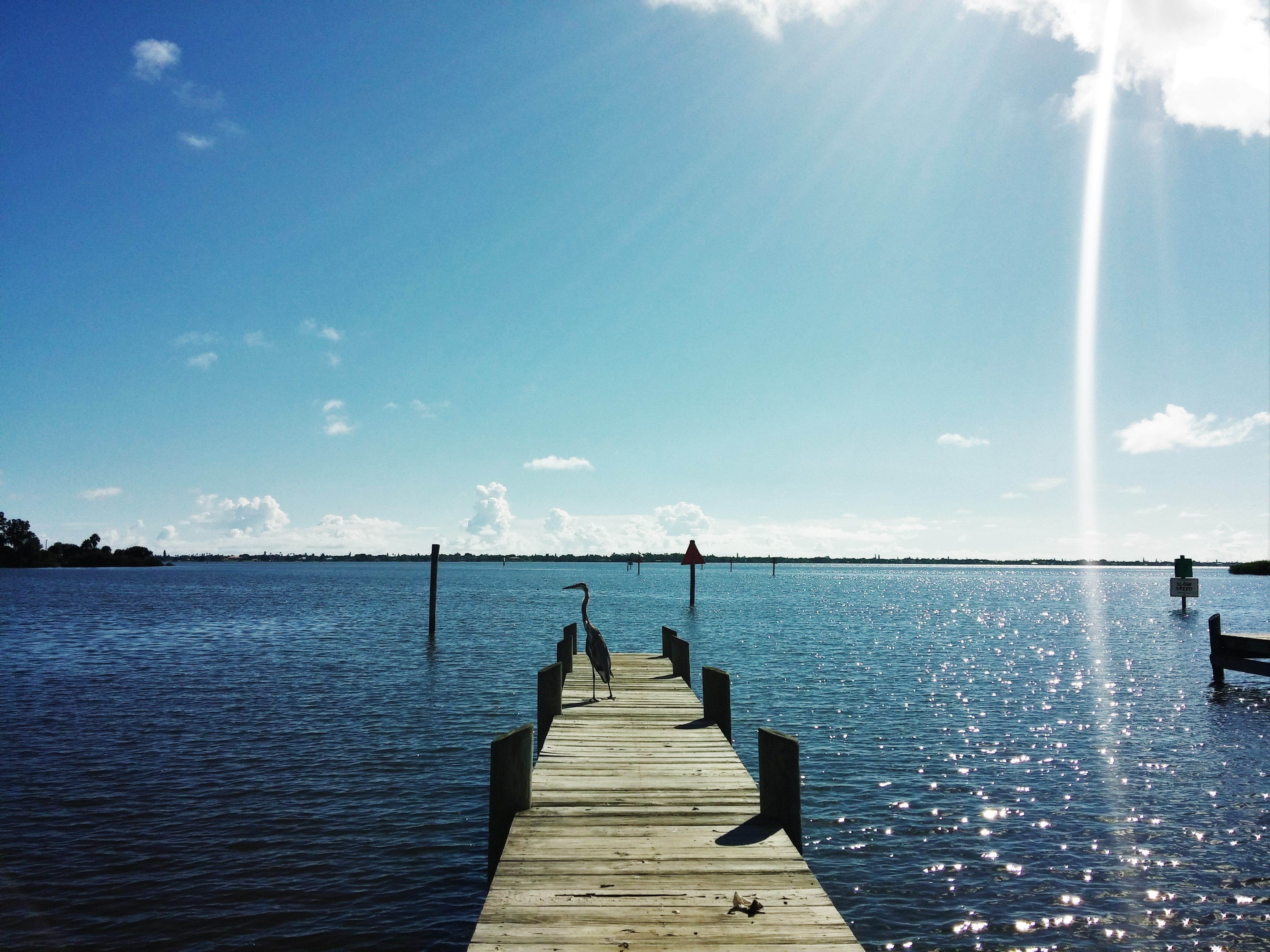 Indian River Lagoon National Scenic Byway Road Trip