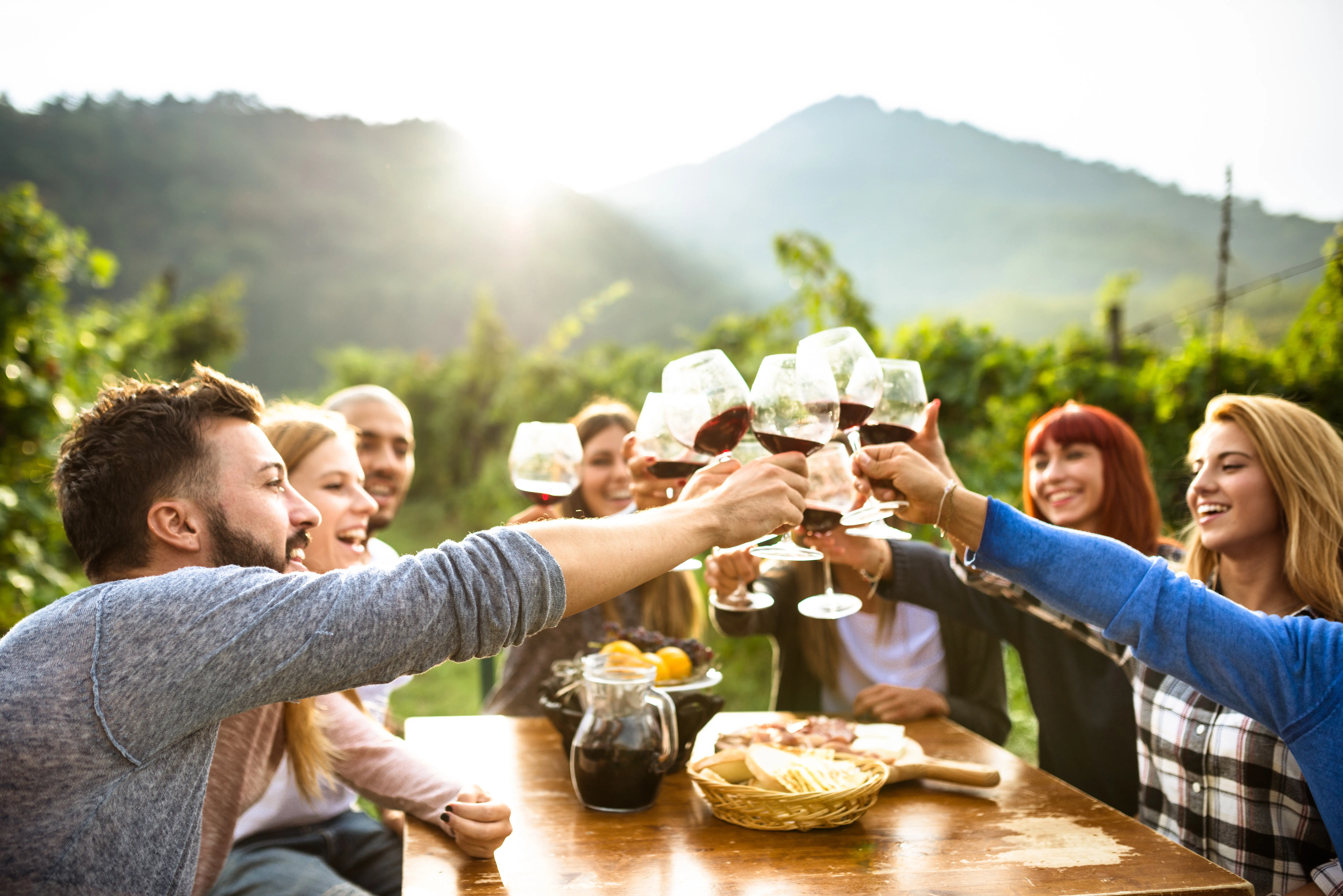 Friends toasting with red wine after the harvesting.