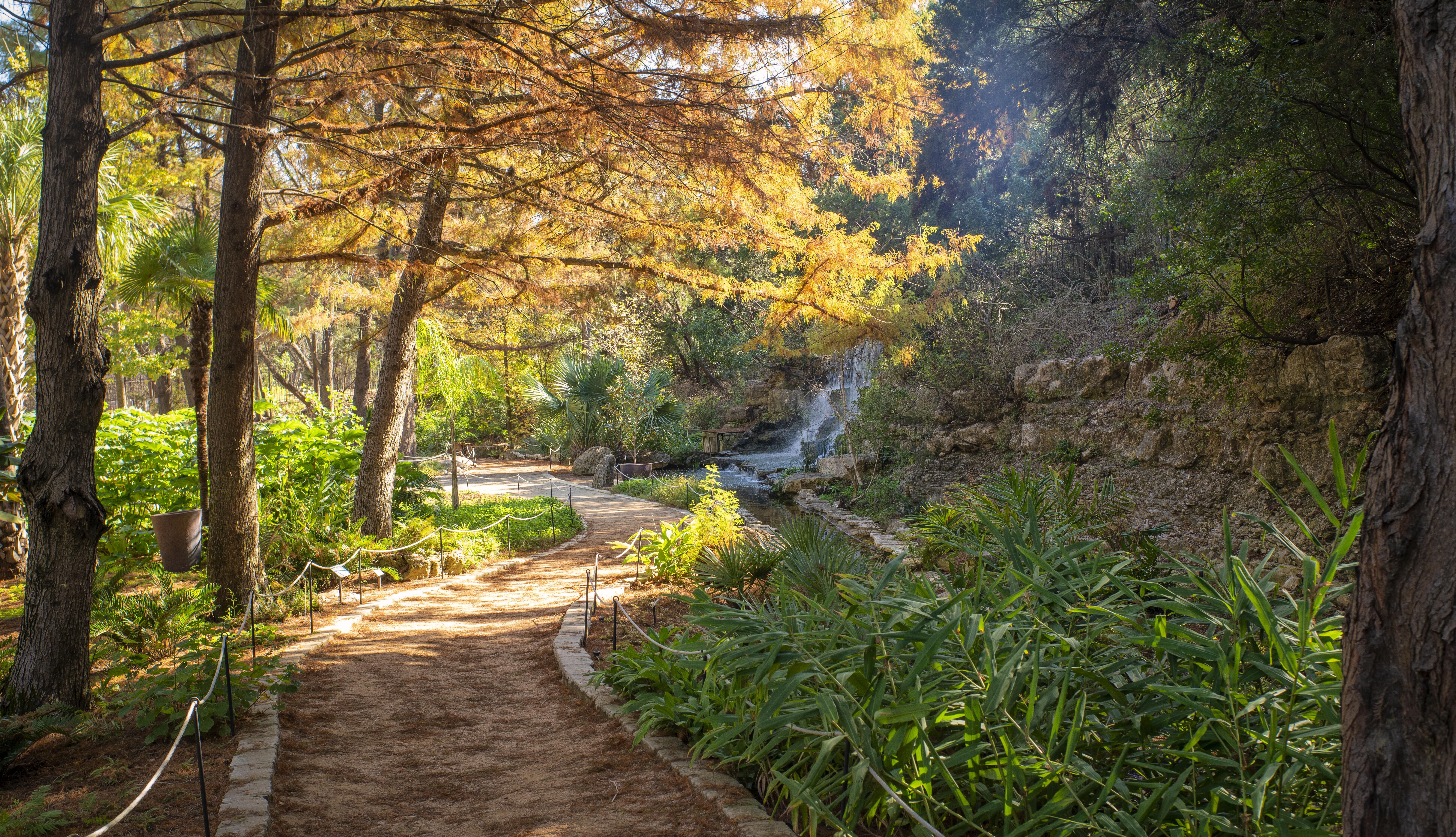 Outdoor image of the Zilker Botanical Garden and its scenery.