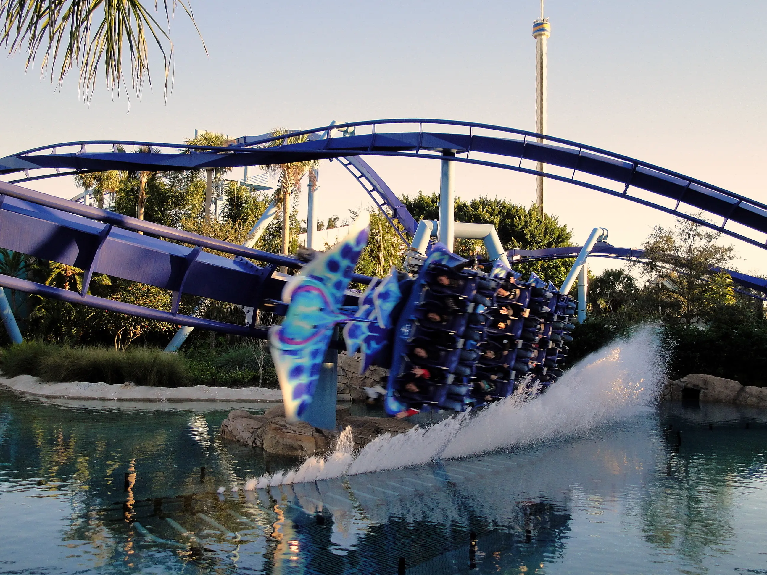 Image of the Manta roller coaster at SeaWorld Orlando.