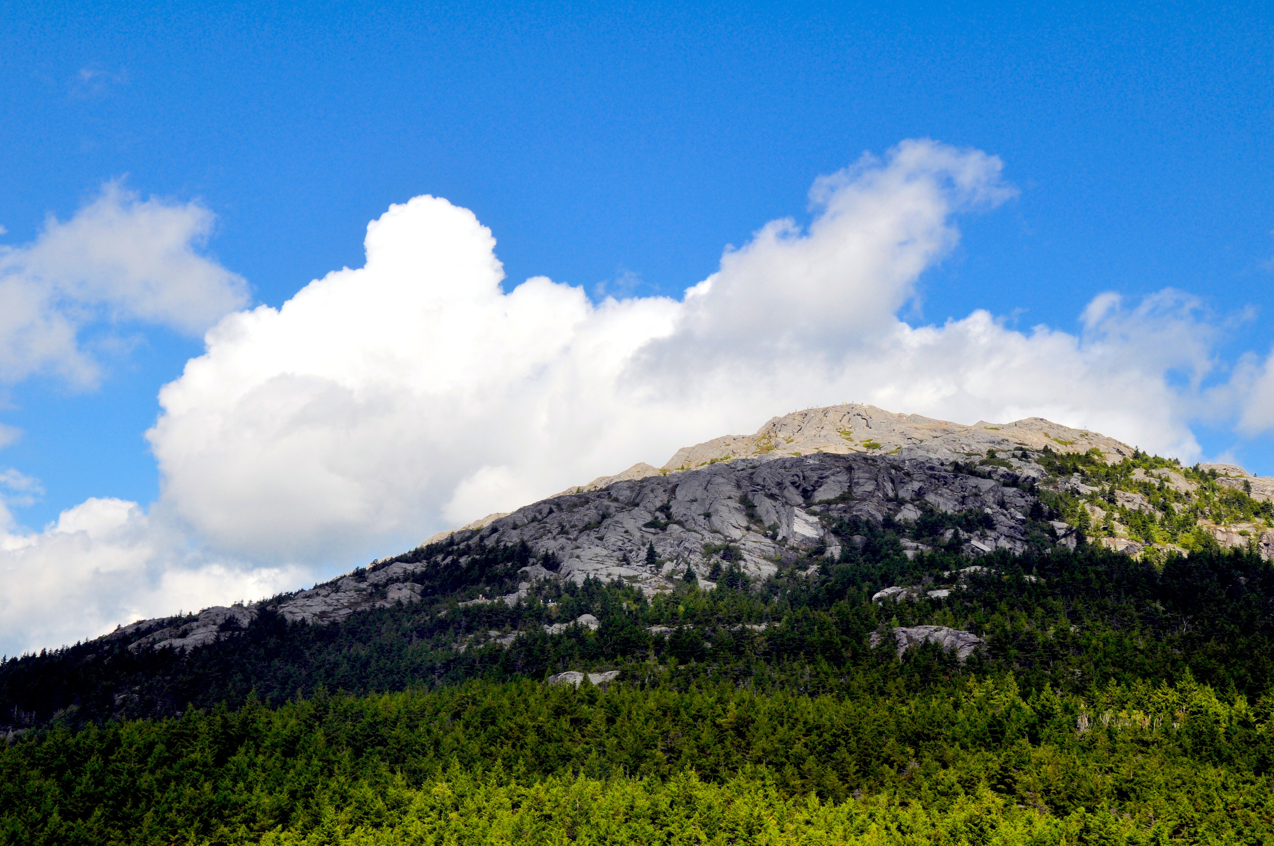 Miller State Park Scenic Road Road Trip