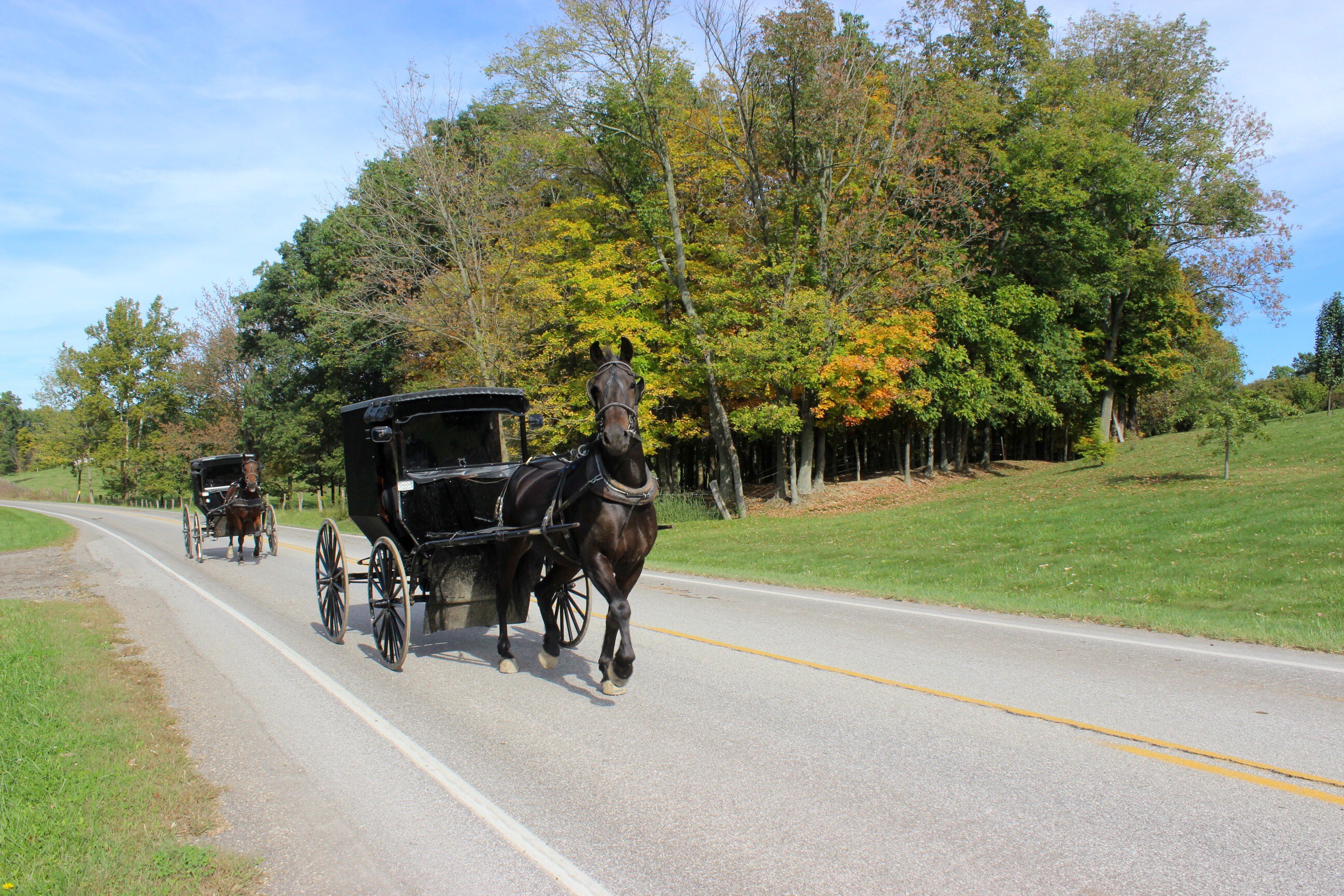 Ohio's Scenic Route 800 Road Trip