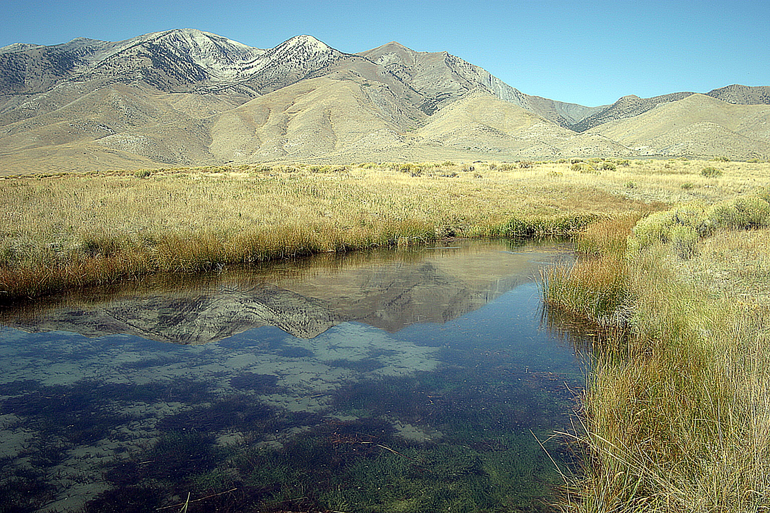 Ruby Lake National Wildlife Refuge Scenic Drive Road Trip