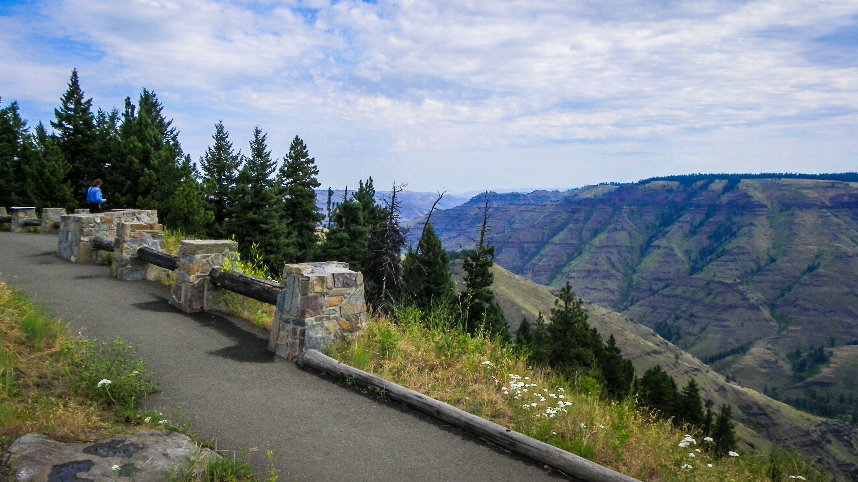 Elgin-Paradise Scenic Drive Road Trip