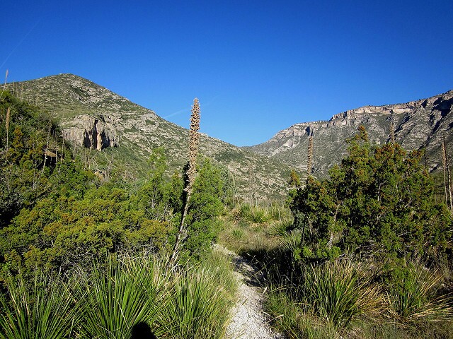 McKittrick Canyon Scenic Road Road Trip