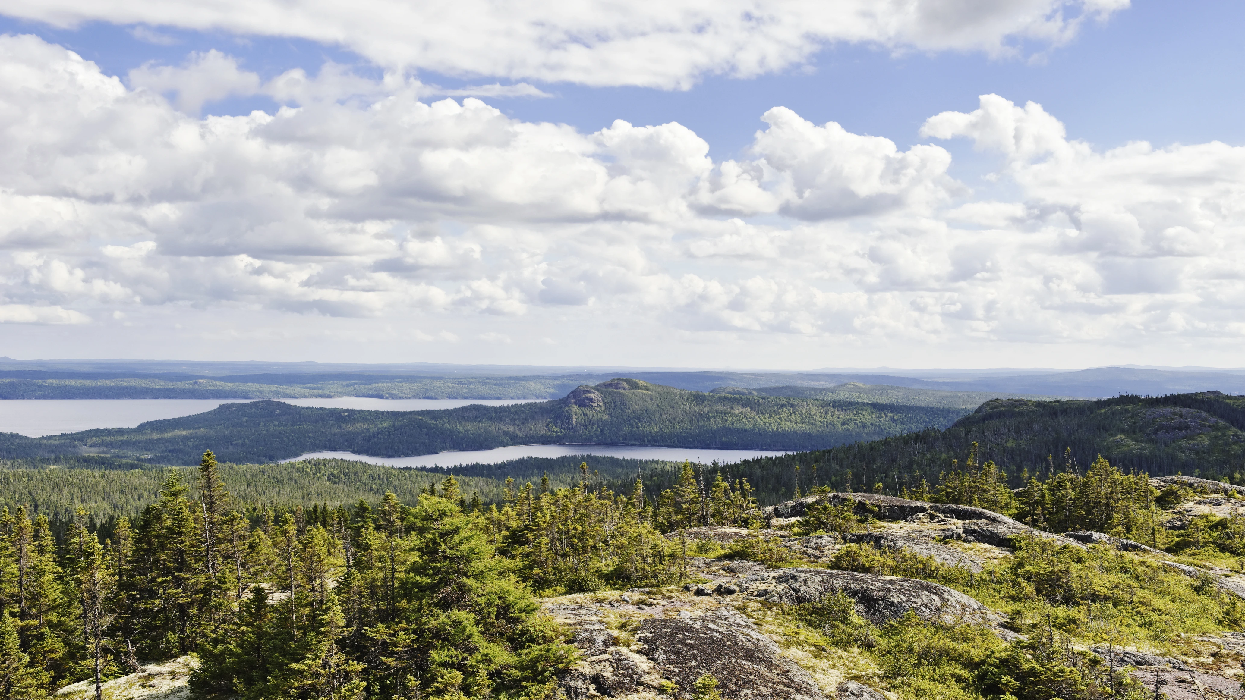 Newfoundland and Labrador’s Scenic Trans Canada Hwy 1 Road Trip Road Trip