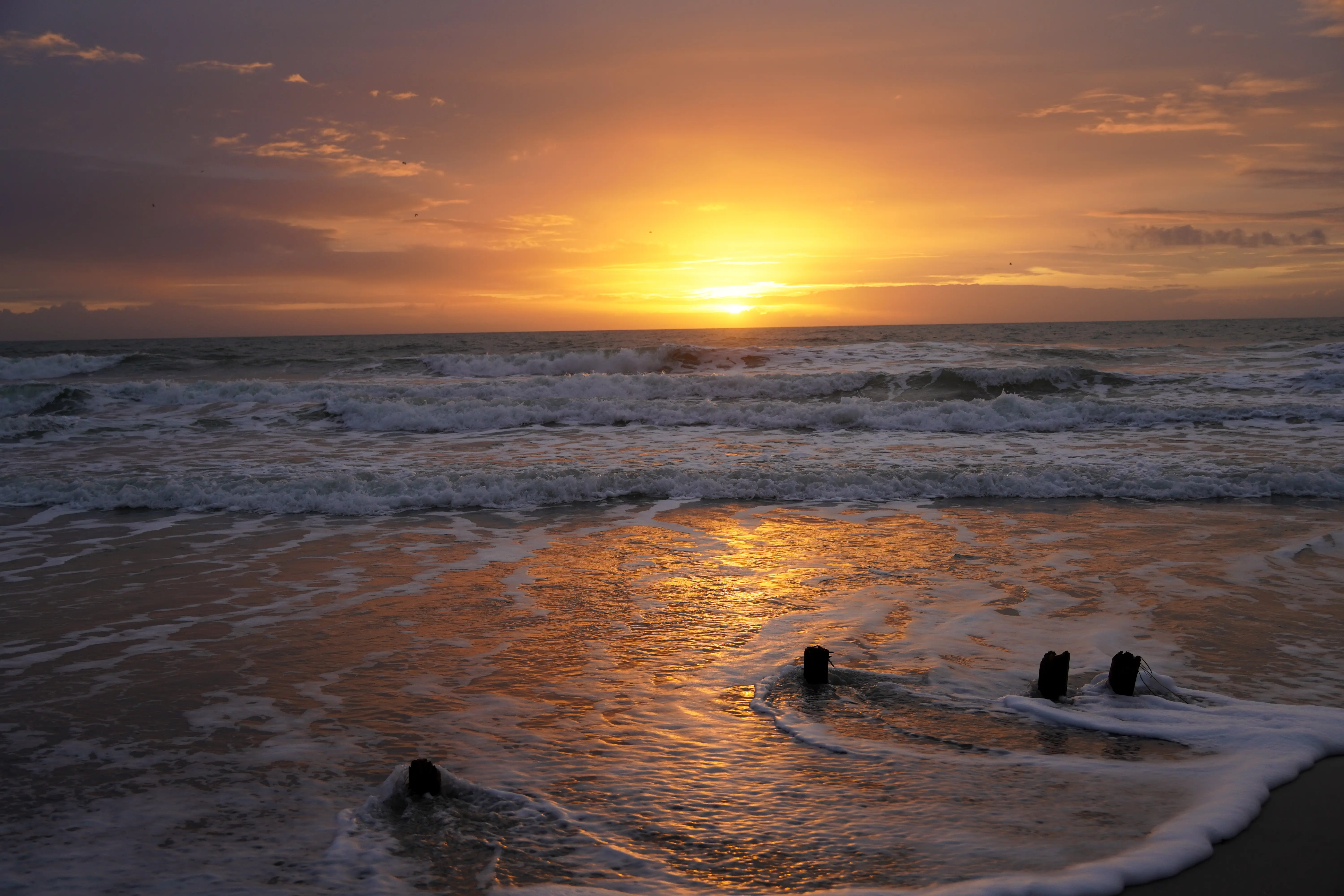 Image of the beach shore of Pawleys Island, South Carolina