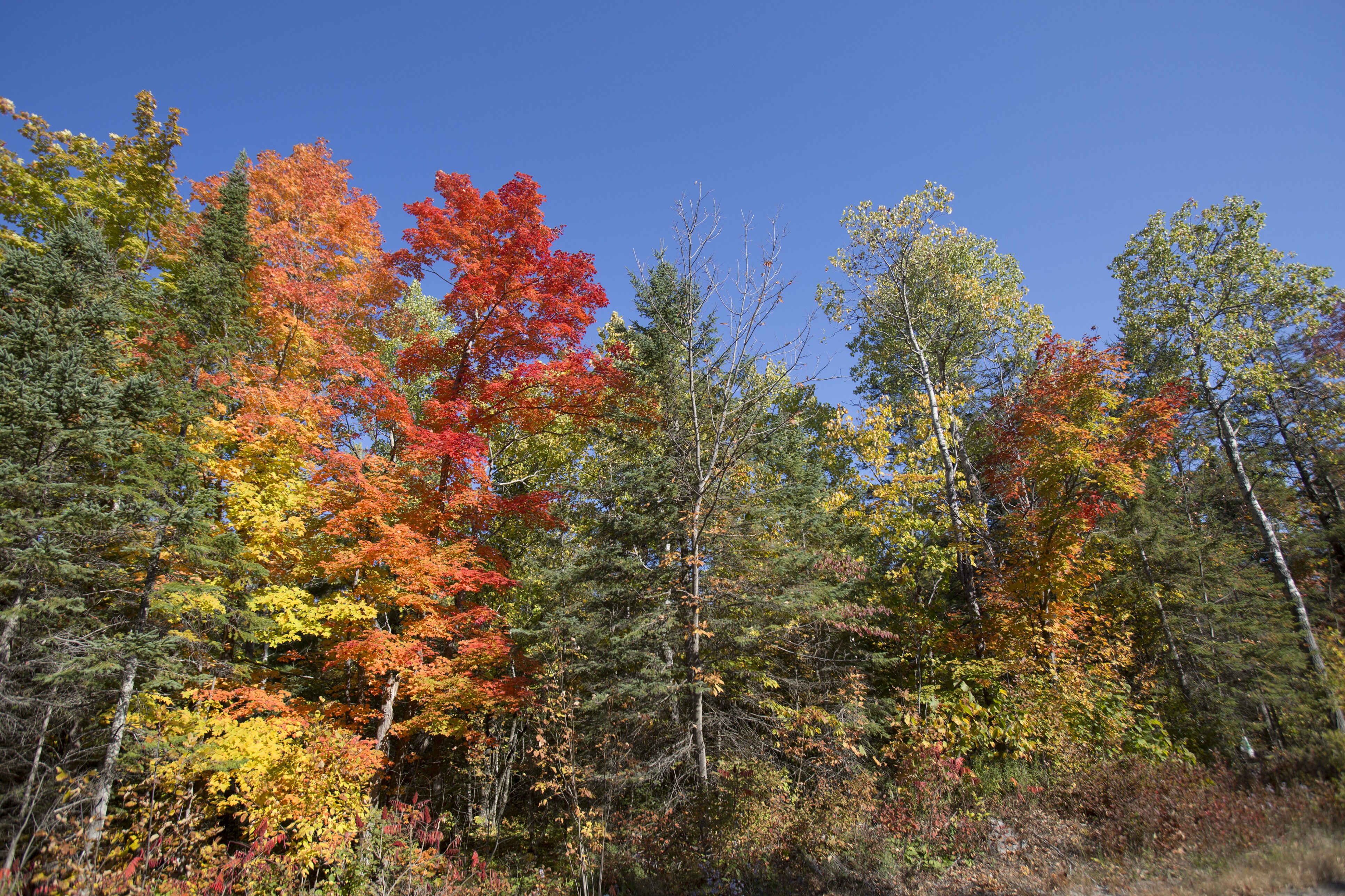 Ontario's Land of Lakes Scenic Drive Road Trip