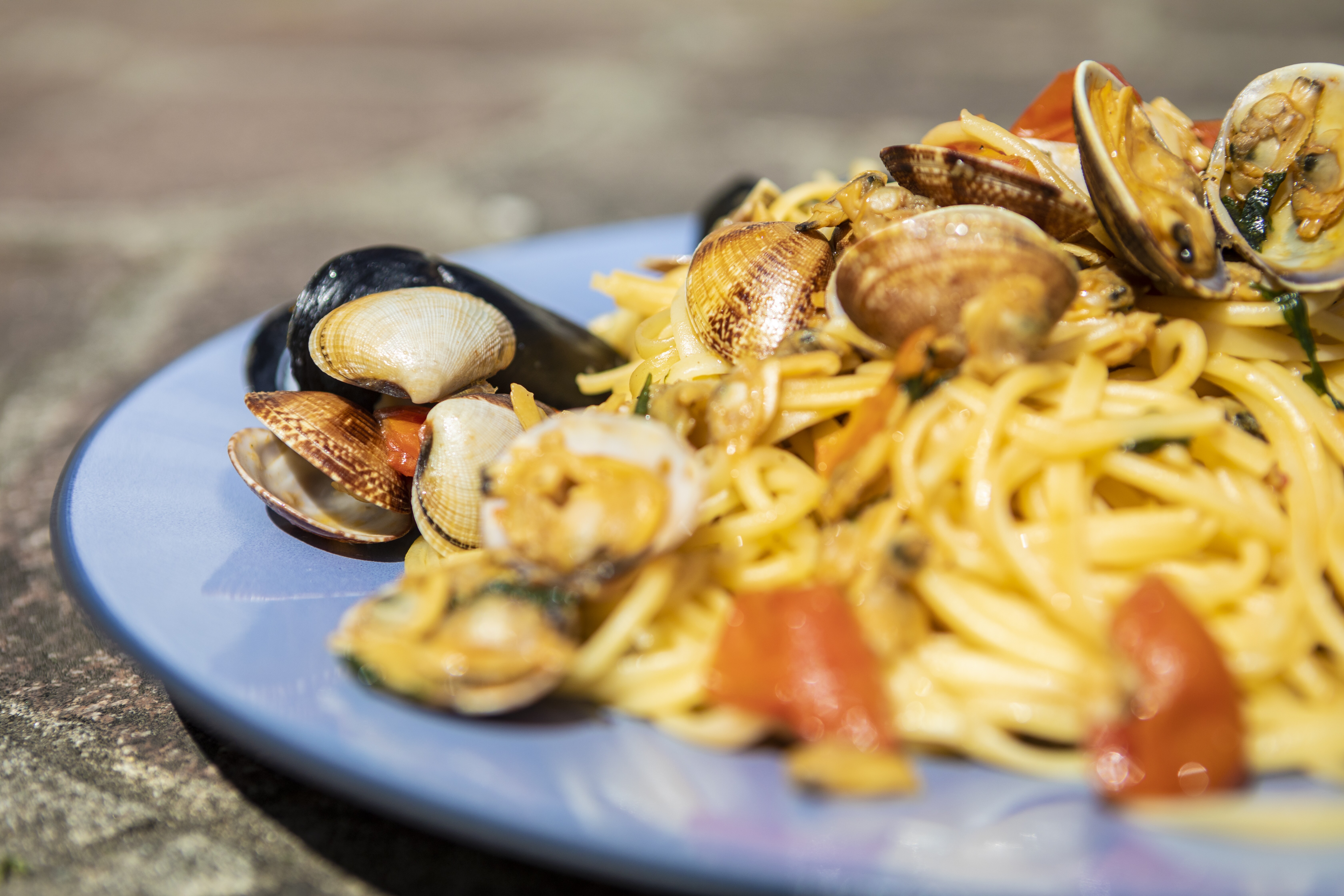Closeup image of a dish of spaghetti with mussels and clams.
