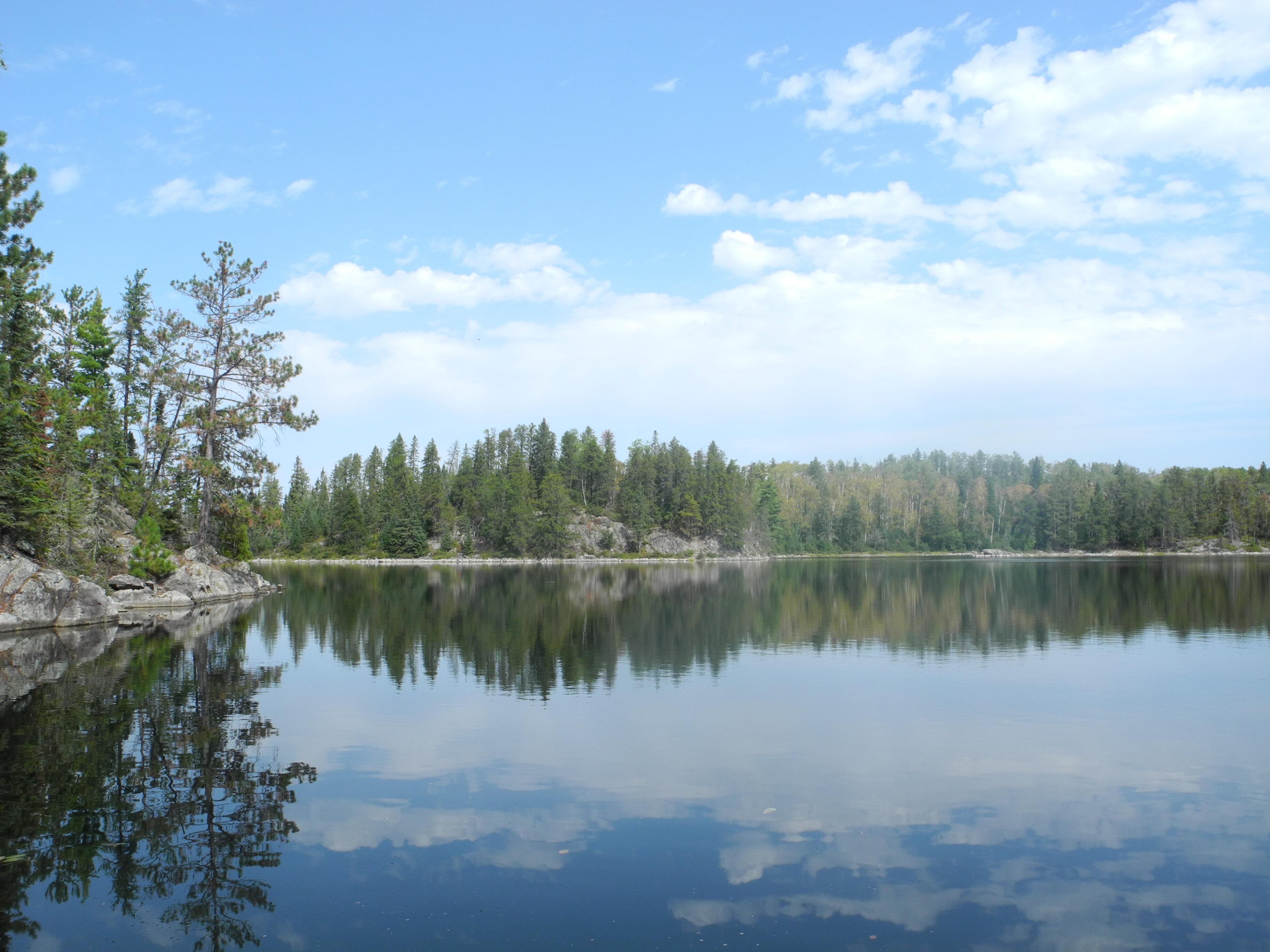 Image of a wilderness lake scene in Minnesota.