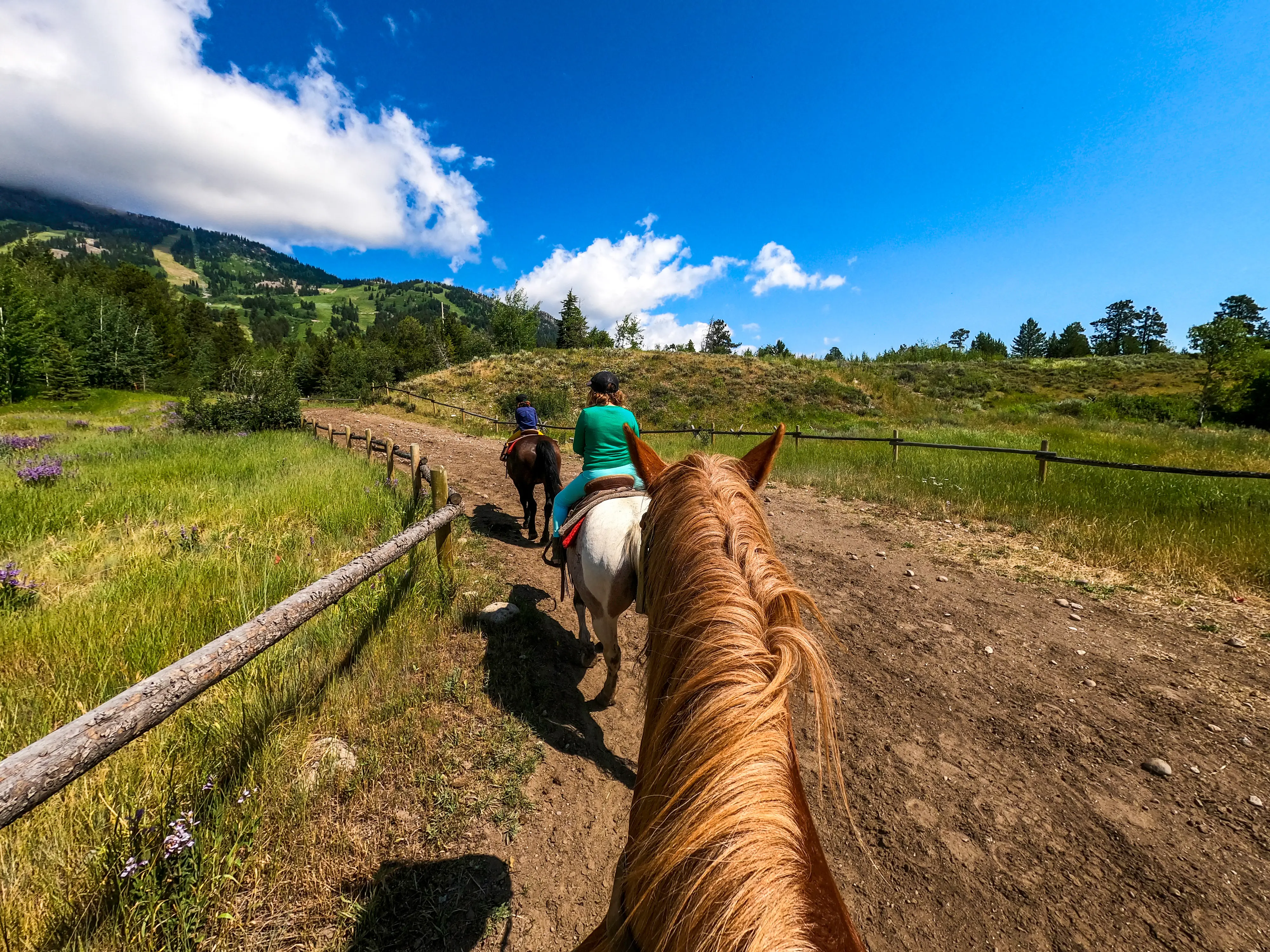 Personal perspective horseback riding with kids, on a trail showing green fields and mountains through Yellowstone National Park